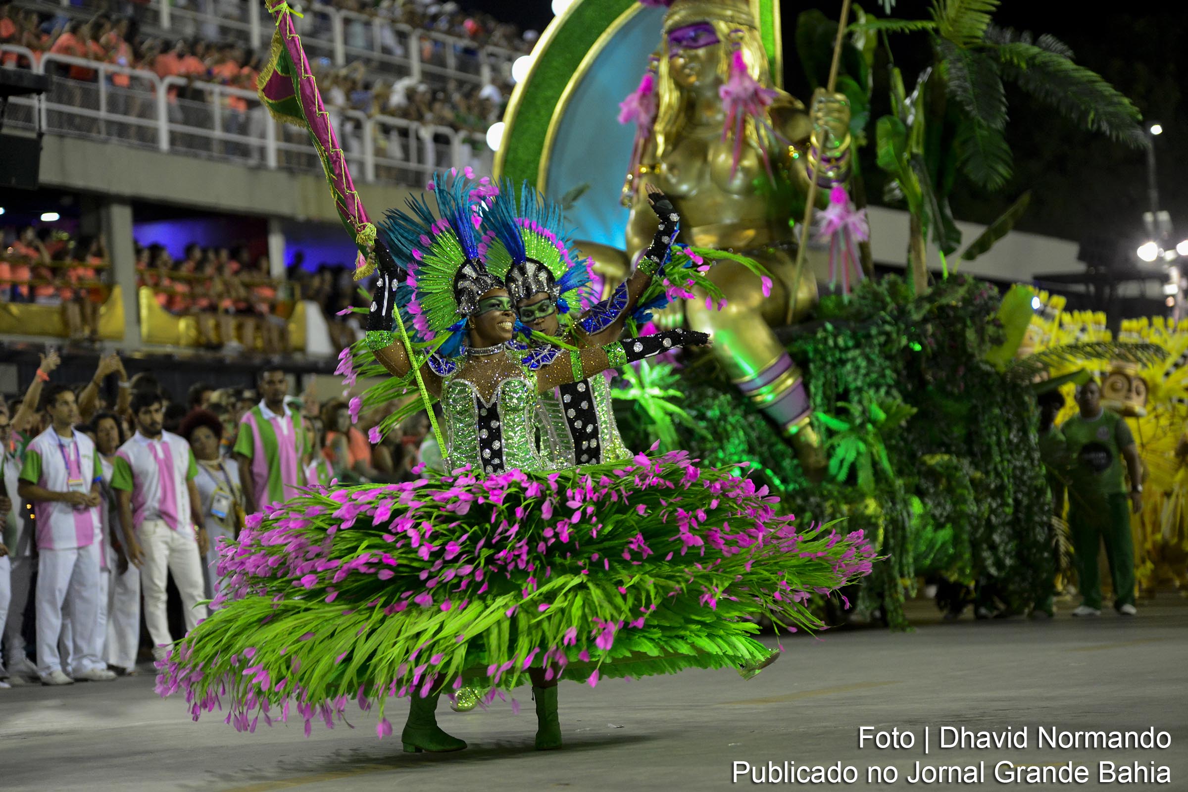 Desfile da Escola de Samba Estação Primeira de Mangueira no Carnaval 2019 do Rio de Janeiro.