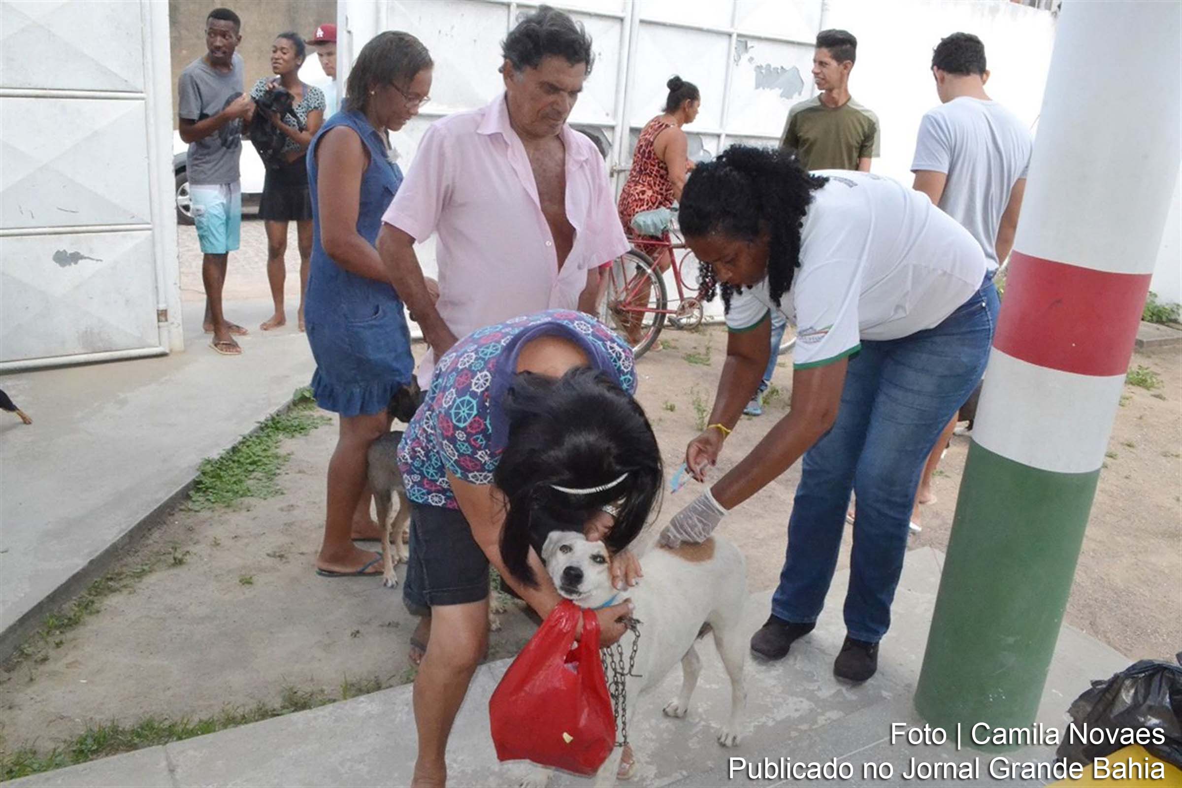 Campanha de Vacinação antirrábica realizada em bairros de Feira de Santana.