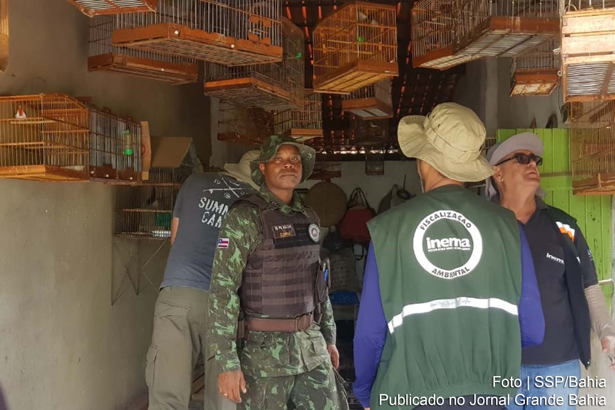 Operação Fauna Livre abordou 10 estabelecimentos nos distritos de Cercadinho e Populares no Município de Senhor do Bonfim.