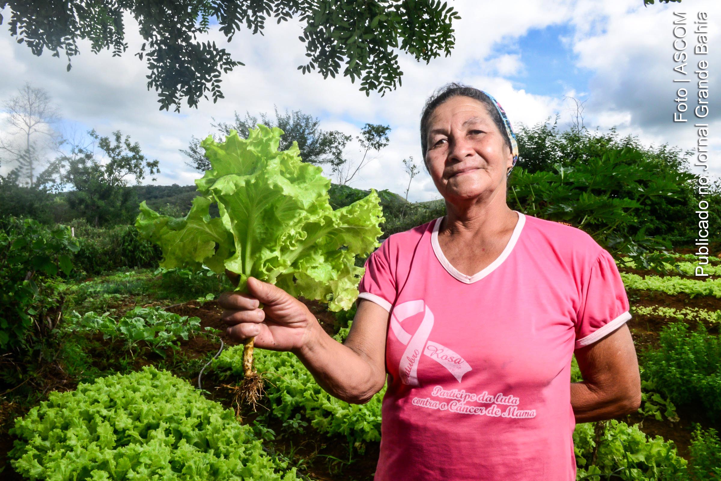 Governo Bolsonaro suspende financiamento para agricultura familiar; Trabalhadores estimam demanda de R$ 800 milhões para investimentos, além de outros R$ 6 bilhões que não foram liberados