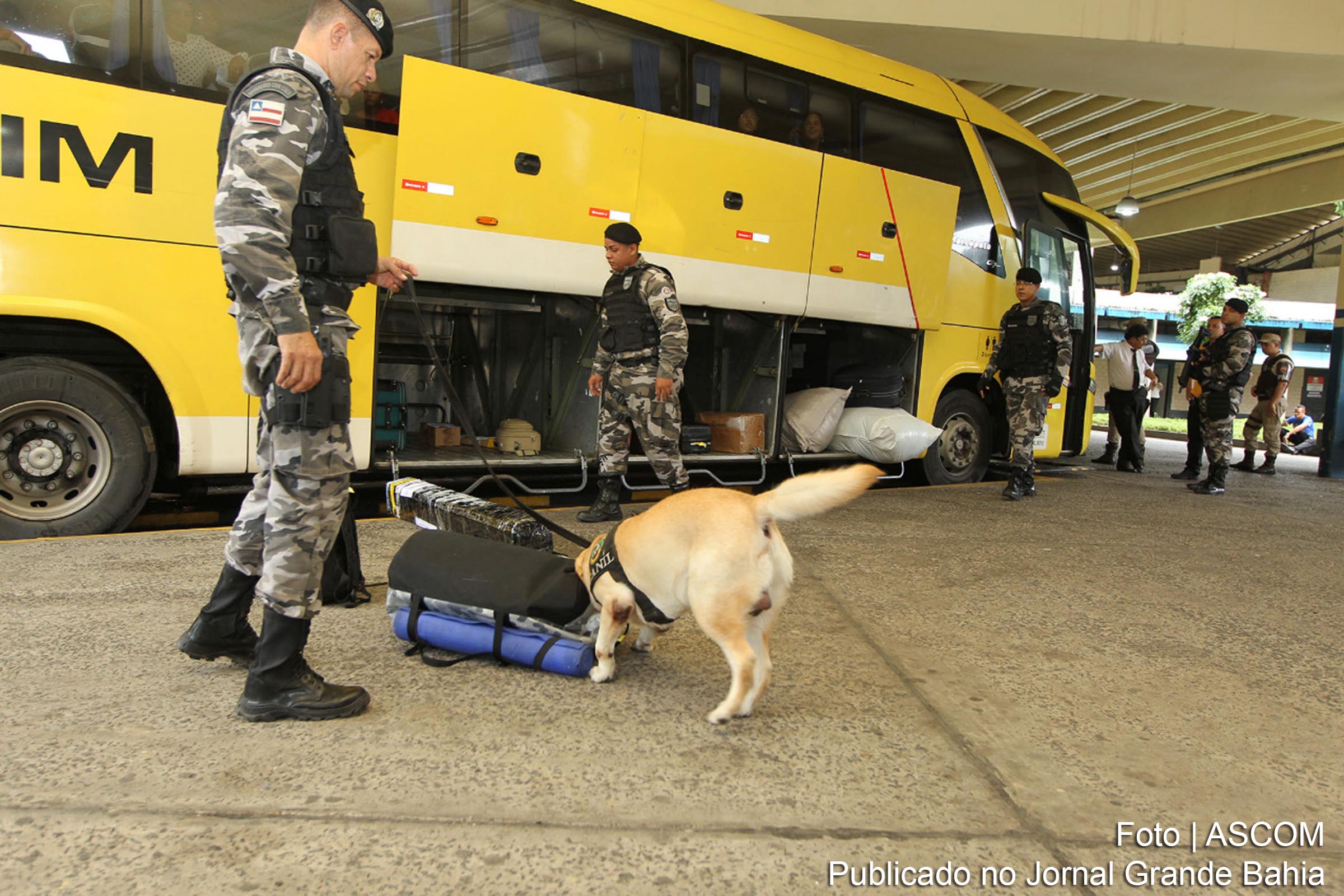 Rodoviária e Ferry Boat operam com sistema especial para atender usuários com destino ao interior no São João da Bahia