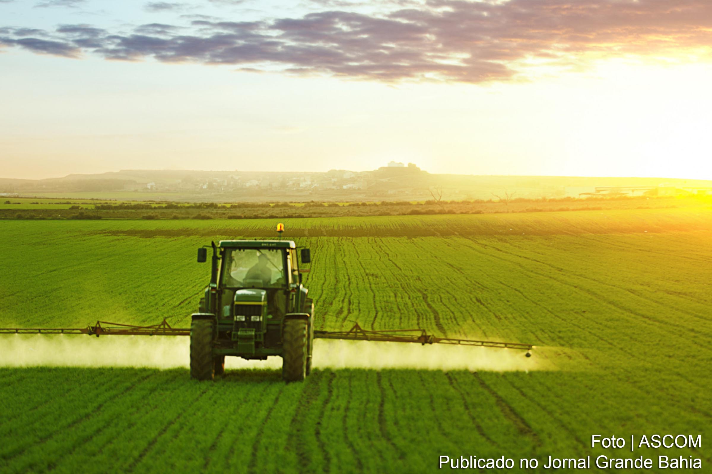 Nos últimos dez anos, a aplicação de pesticidas cresceu 150%, na mesma medida que as intoxicações agudas por pesticidas.