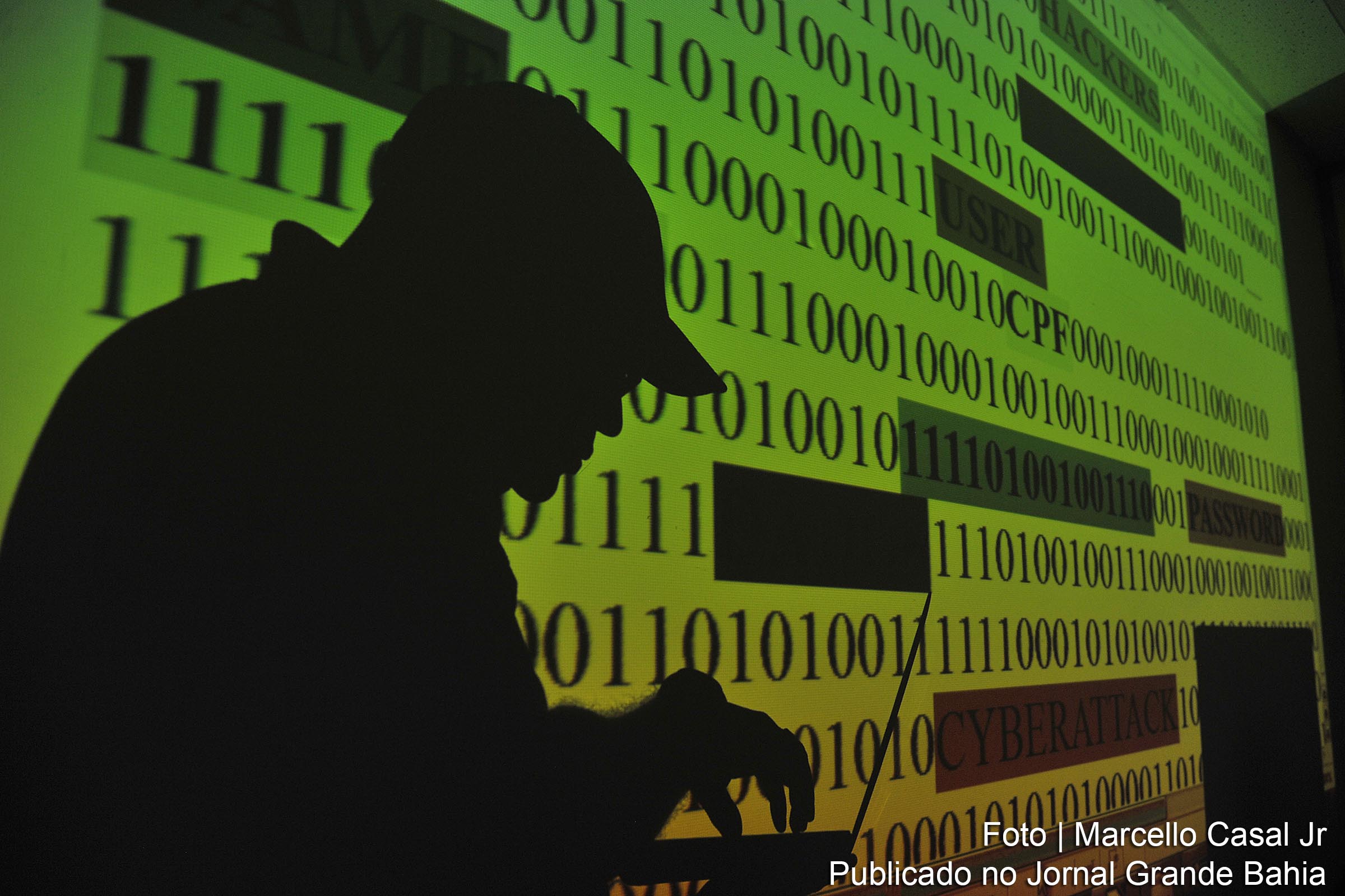 Crime cibernético (hacker).