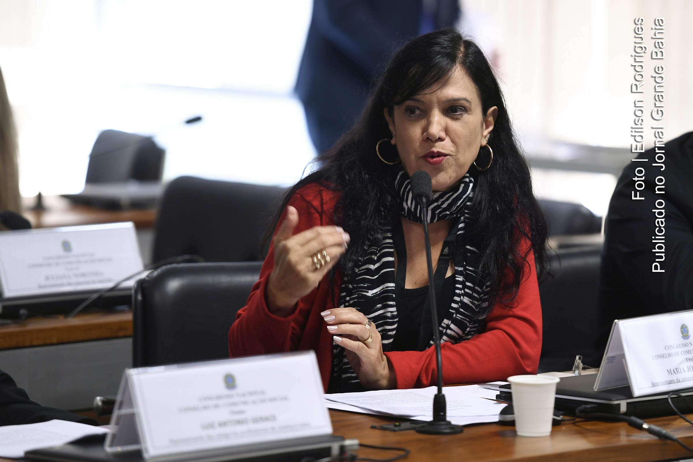 Em reunião do Conselho de Comunicação Social a representante da Federação Nacional dos Jornalistas, Maria José Braga, denunciou ataques a jornalistas.