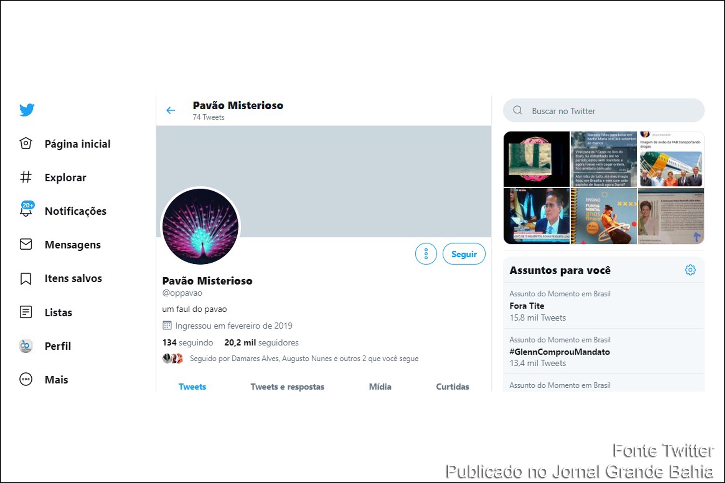 Página do 'Pavão Misterioso' no Twitter, autoria é desconhecida.