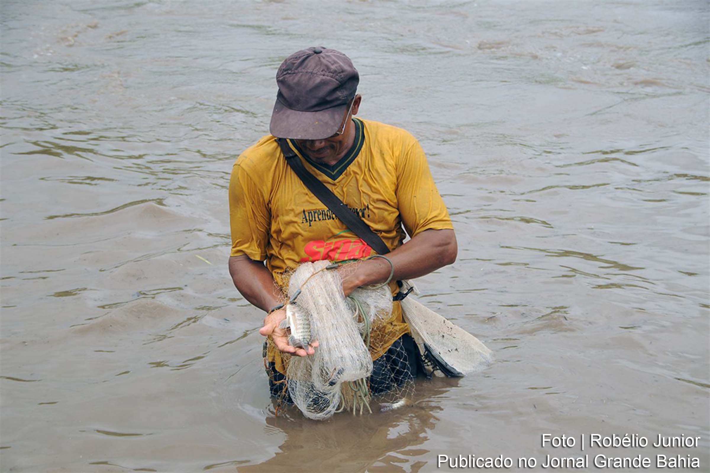 Sumiço de espécies de peixes, crustáceos e de organismos aquáticos no Rio Jacuípe pode estar associado à poluição por contaminantes emergentes.