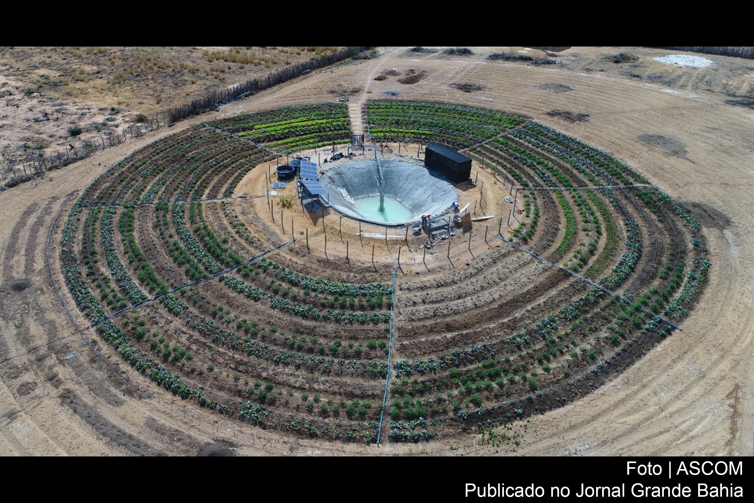 Vista aérea de projeto de irrigação da agricultura familiar desenvolvido no semiárido da Bahia, com uso de sistema de energia solar.
