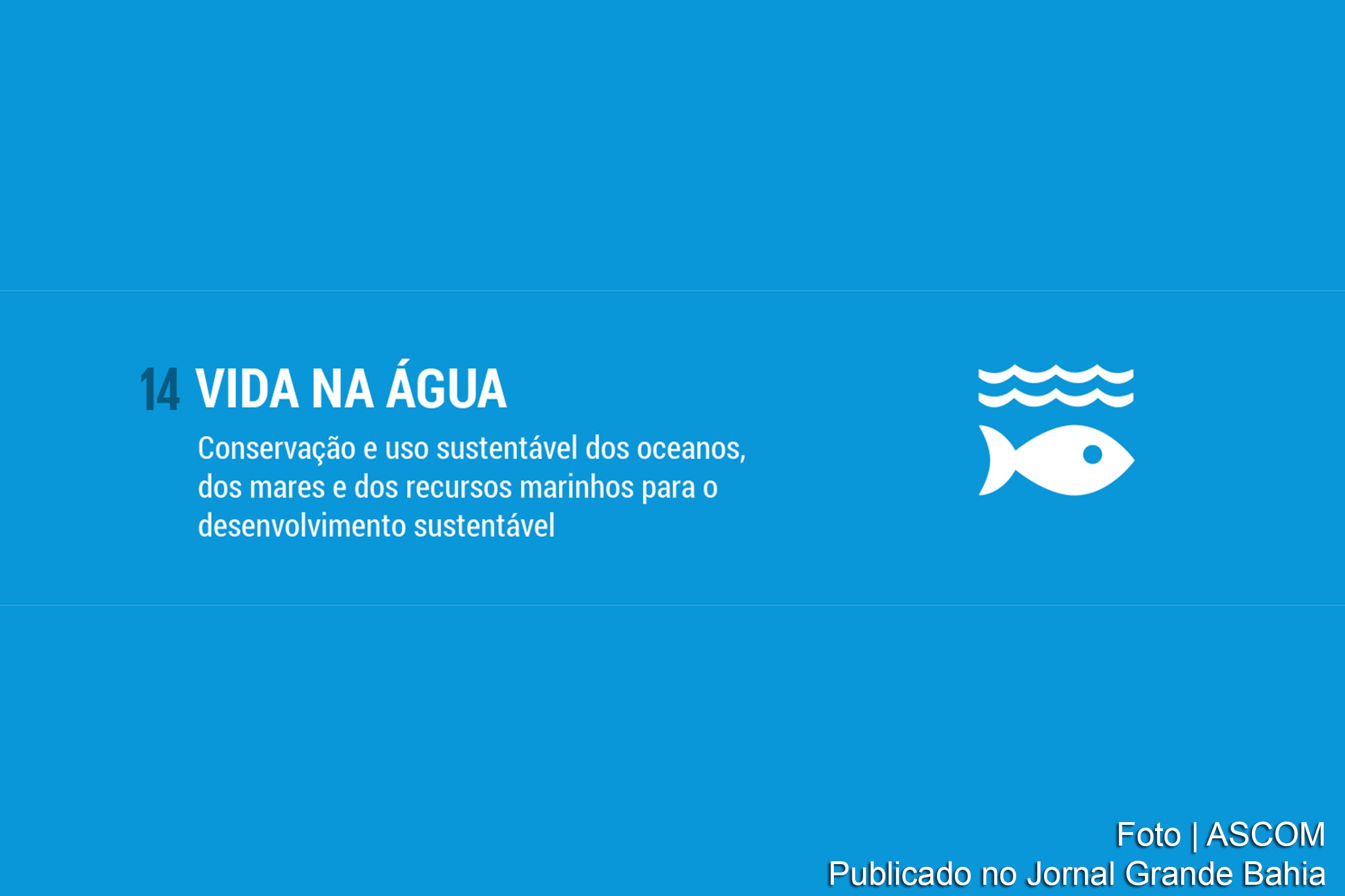 Cartaz anuncia Objetivo de Desenvolvimento Sustentável 14, Vida na Água, da Agenda 2030 da ONU.