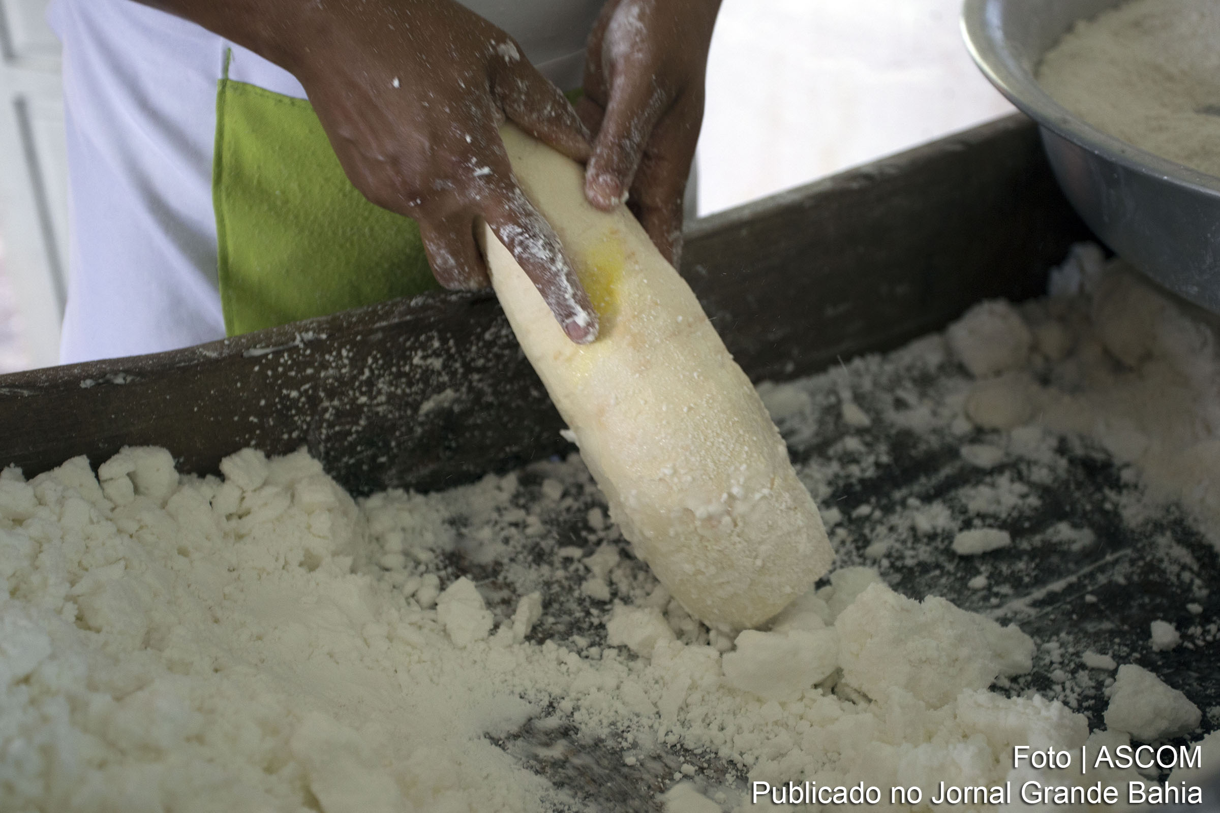 Crescimento produtivo da mandioca, no Território Identidade Extremo Sul da Bahia desponta como um caminho promissor para os agricultores familiares, que estão encontrando nessa cadeia uma forma de garantir emprego e geração de renda.