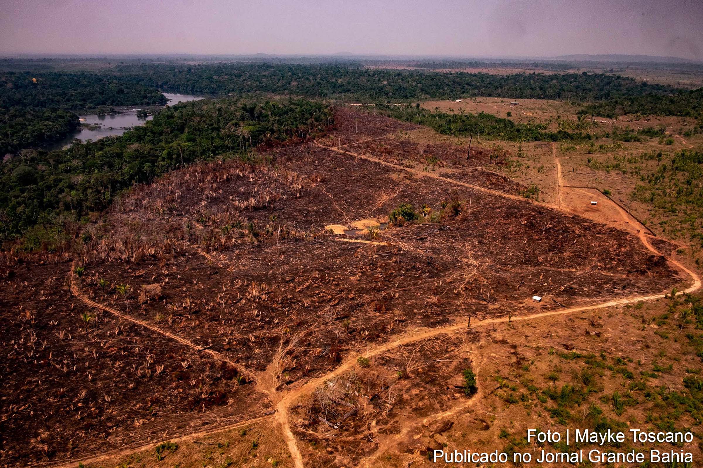 Ecocídio da Floresta Amazônica foi apoiado pela política de degradação do meio ambiente do Desgoverno Bolsonaro.