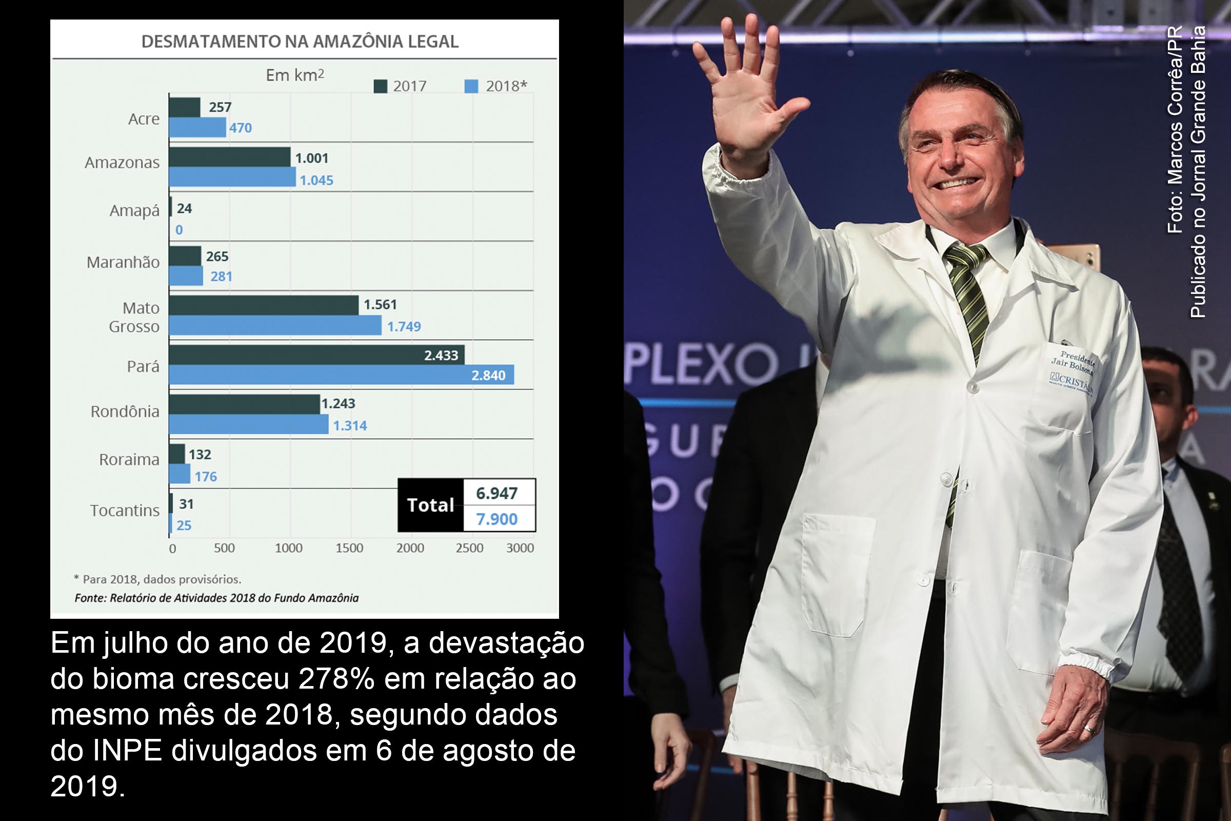Governo Bolsonaro age como genocida do meio ambiente do Brasil.