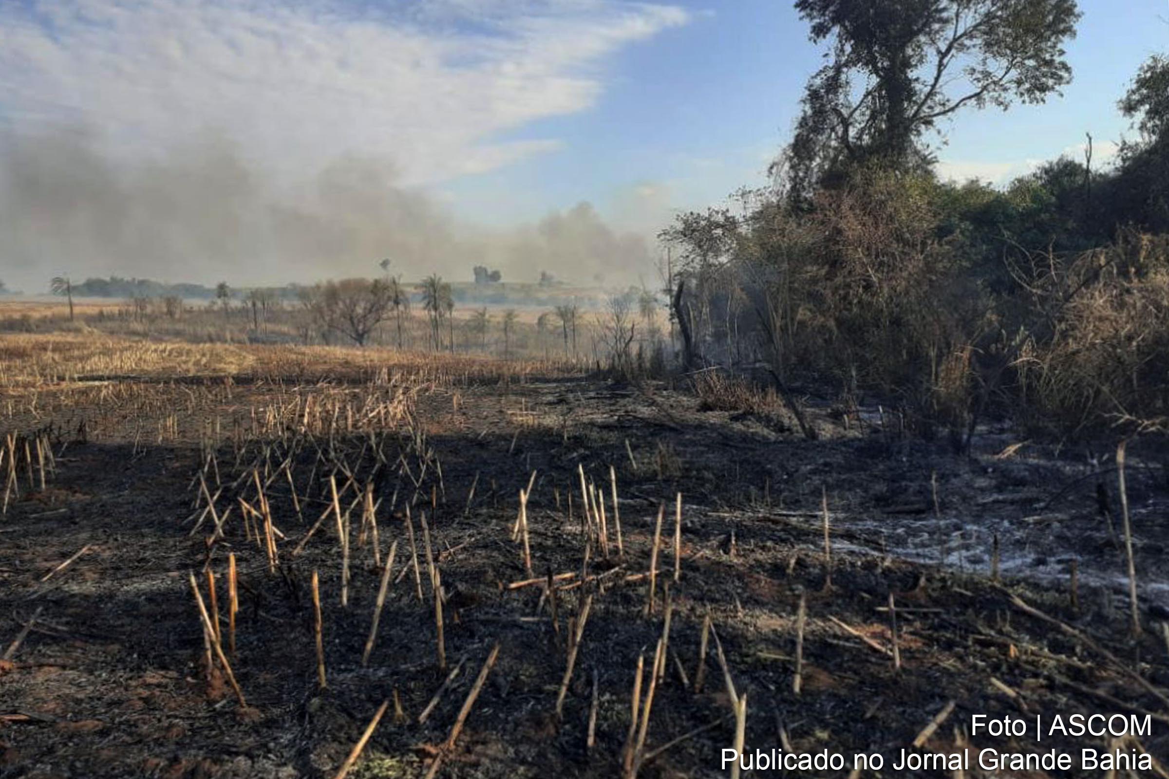 Preocupado com genocídio da natureza provocado pelo Desgoverno de Bolsonaro, Secretário-geral da ONU diz que “Amazônia tem que ser protegida”