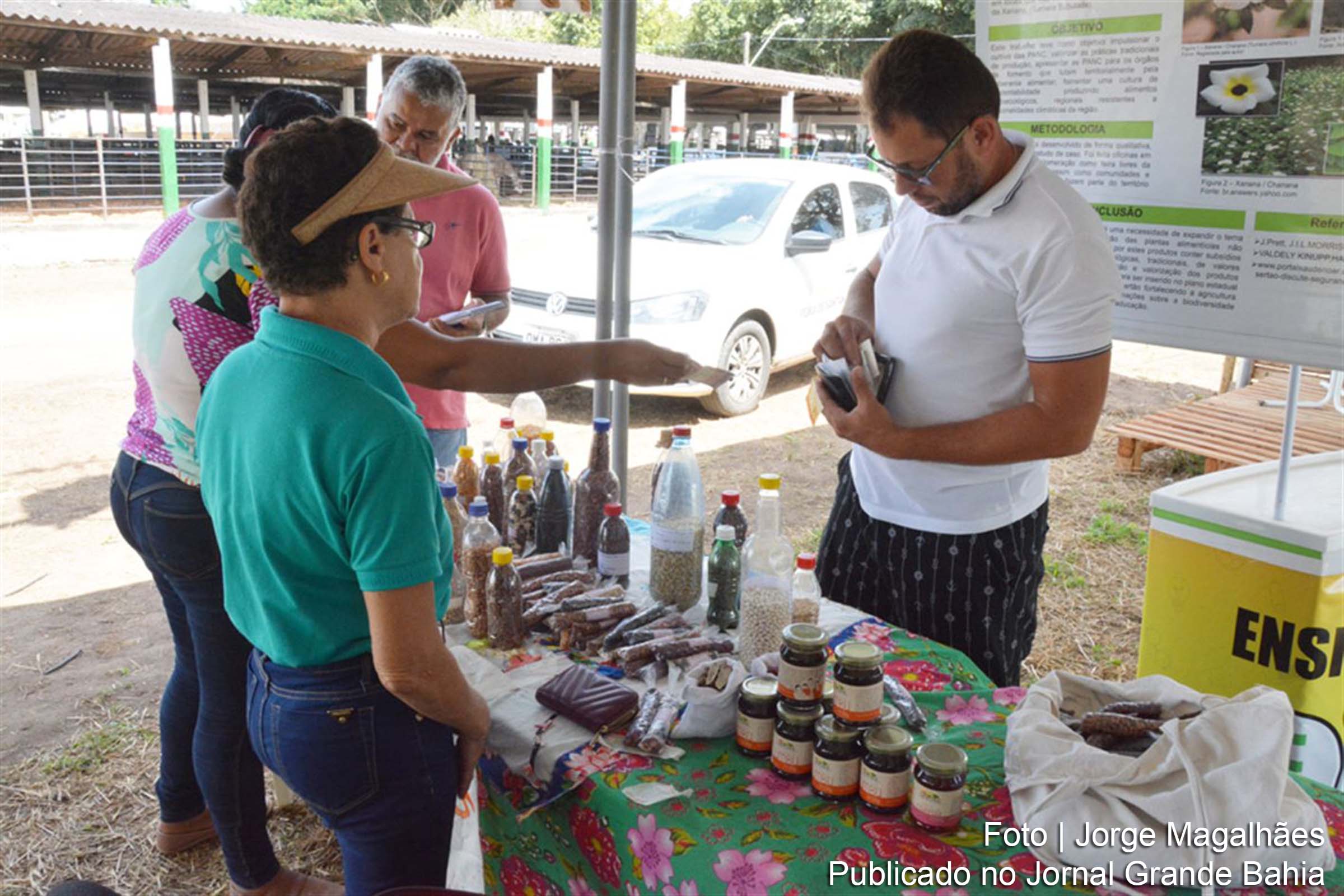 Dezenas de sementes de milho, feijão e outras leguminosas estão sendo expostas no Banco de Sementes Crioula, no estande da Universidade Federal do Recôncavo da Bahia.
