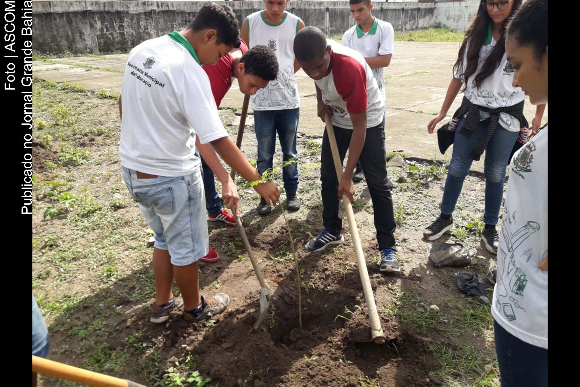 Estudantes da Rede Municipal de Feira de Santana participaram de programação alusiva ao 'Dia da Árvore'.