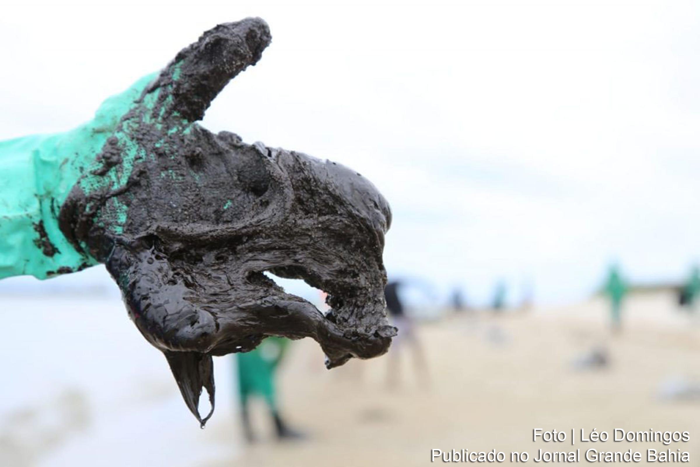 Degradação ambiental da costa do Nordeste por óleo oriundo de alto-mar é o maior desastre ambiental registrado no Brasil.