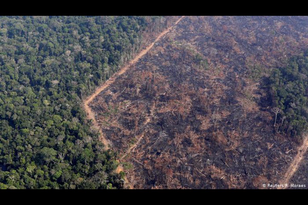 Foto de agosto mostra floresta desmatada na região de Porto Velho. Nos primeiros nove meses de 2019, dados do instituto mostram que floresta perdeu 7.853 km² de cobertura vegetal. Devastação já ultrapassa a registrada em todo o ano de 2018. Em setembro, desmatamento aumentou 96%.