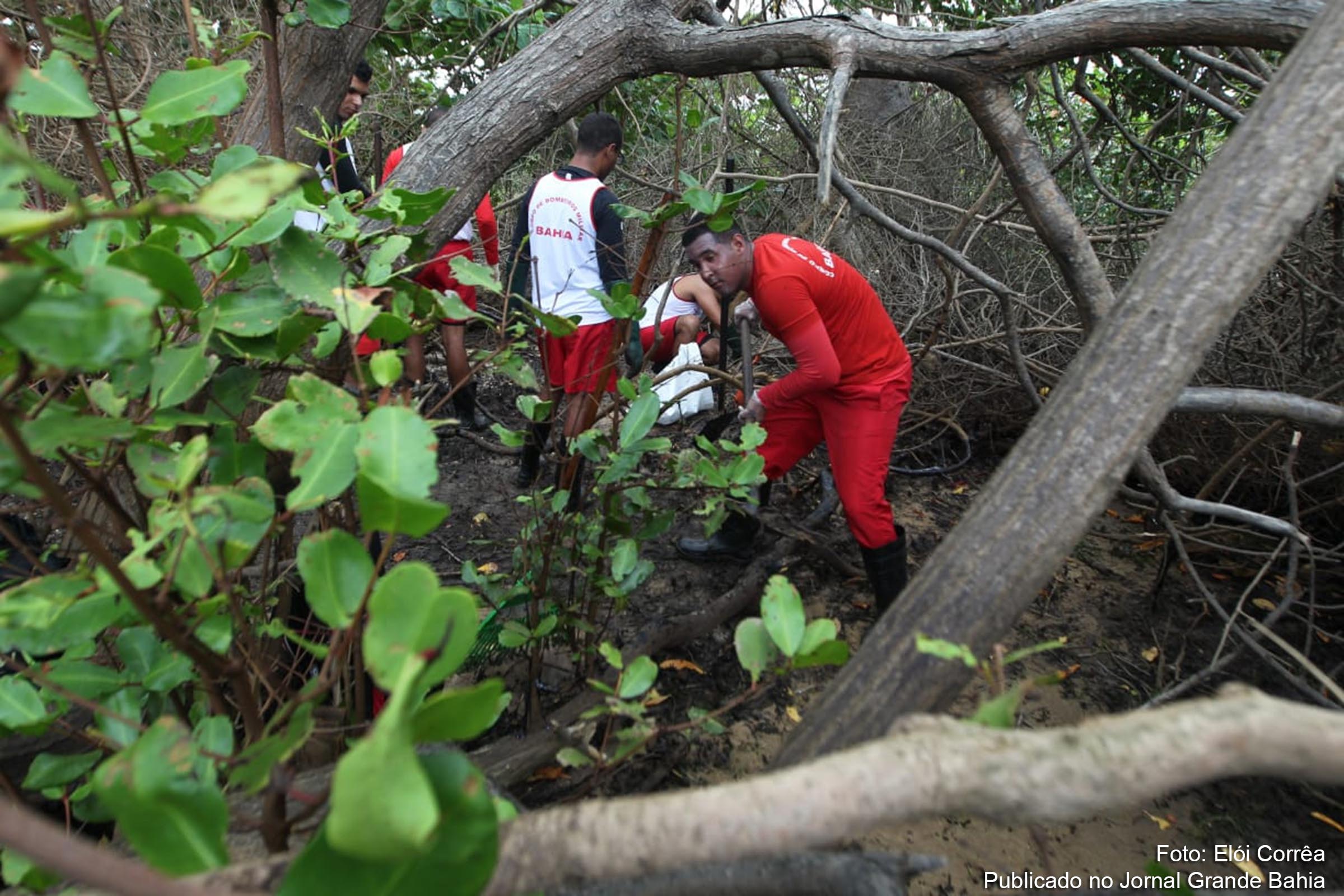 Governo da Bahia mobiliza equipes dos Bombeiros em ação de combate a degradação ambiental, causada por petróleo derramado em alto-mar.