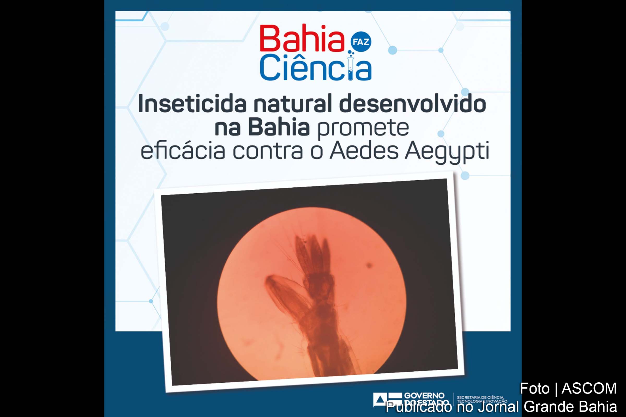 Cartaz anuncia desenvolvimento de inseticida natural contra o Aedes Aegypti, mosquito transmissor da Dengue, Zika, Febre Amarela e Chikungunya.