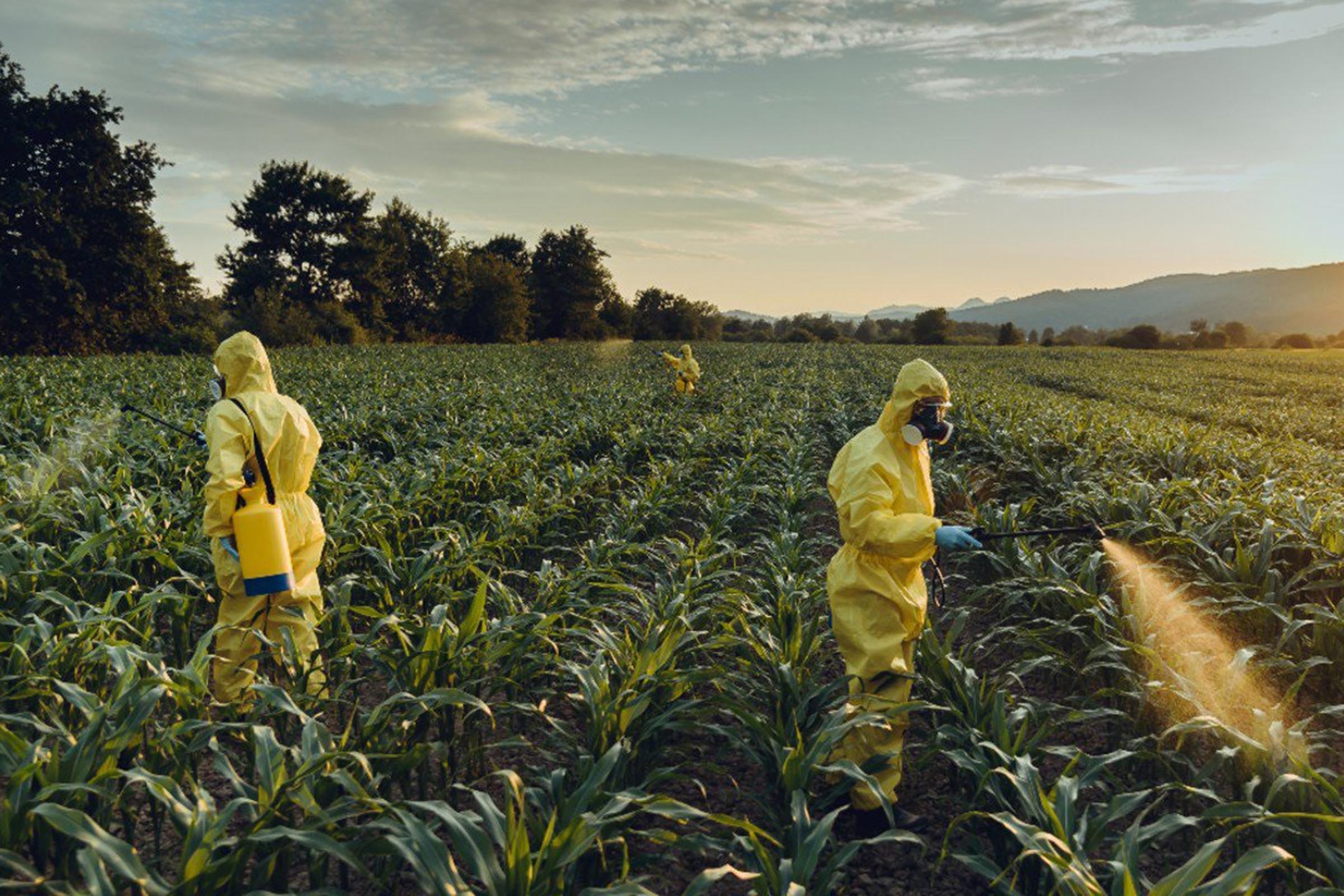 Número de mortes e doenças causadas por agrotóxicos está subestimado, diz pesquisadora Larissa Bombardi; Política do Governo Bolsonaro de envenenamento do meio ambiente e da população liberou mais de 300 agrotóxicos