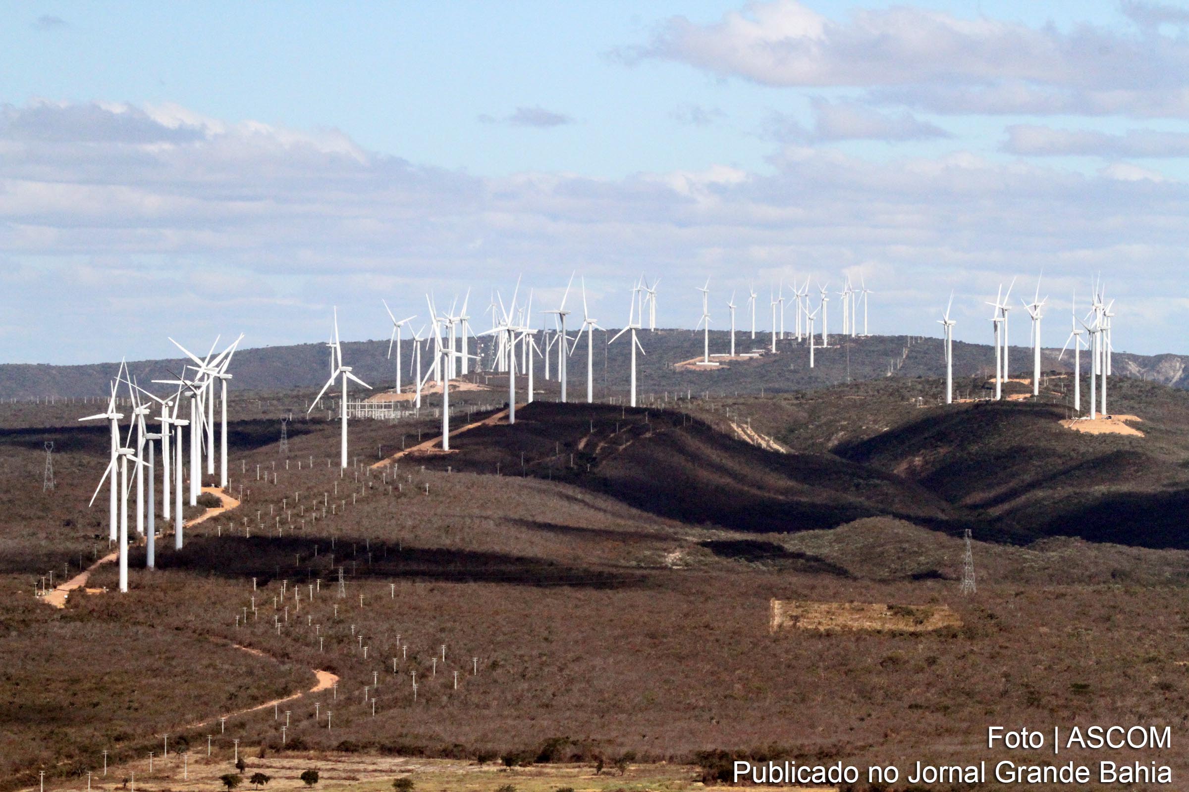 Vista aérea do Complexo Eólico Alto Sertão II.