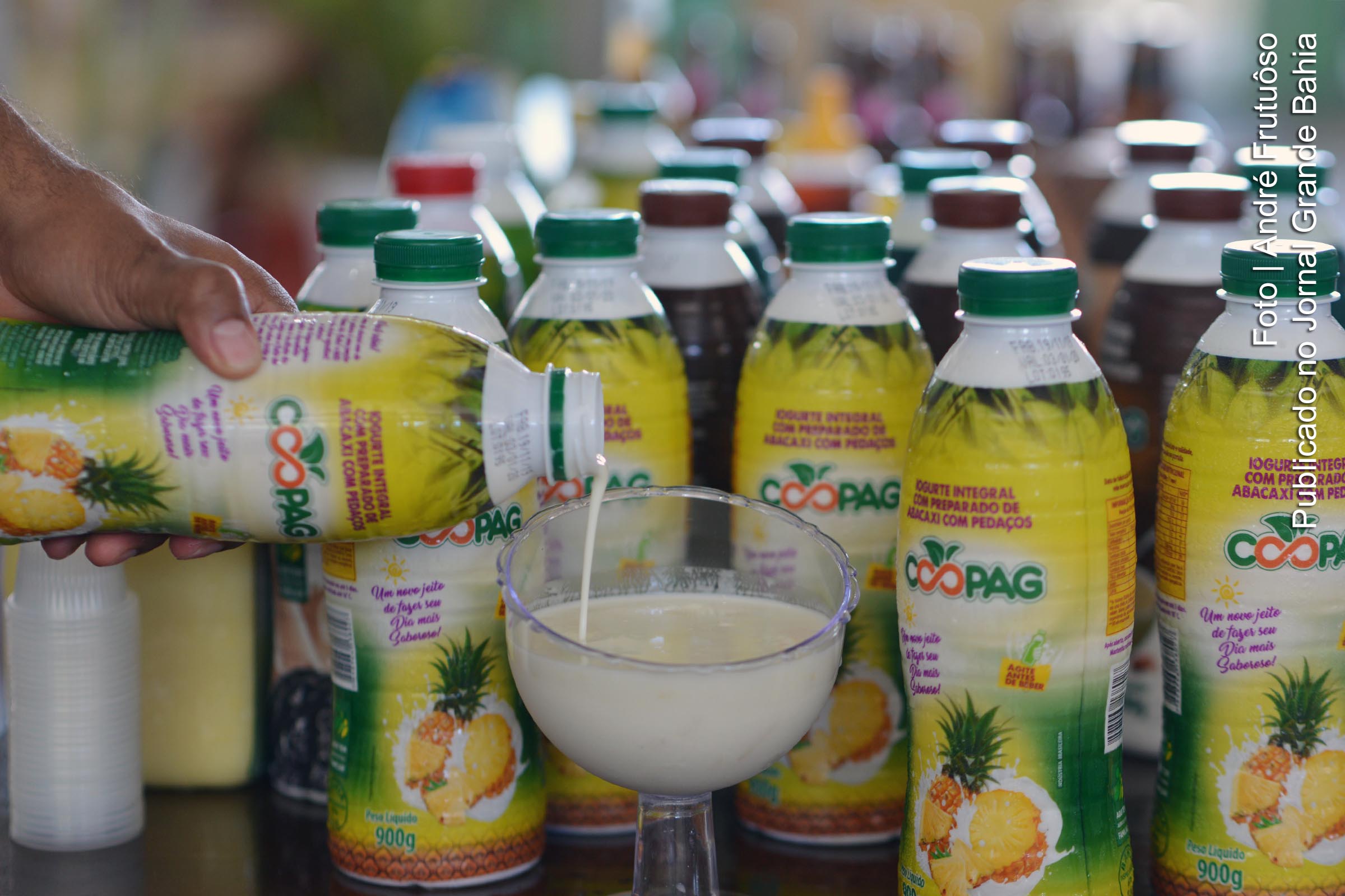 Cooperativa de Produção Agropecuária de Jiló produz iogurte com elevada qualidade alimentícia.