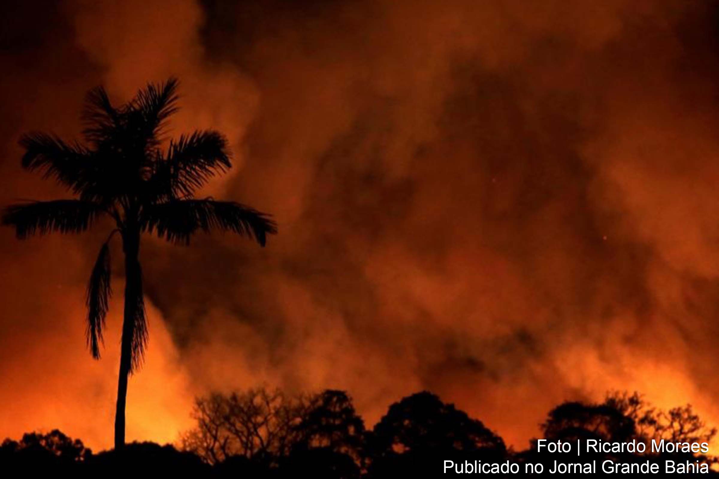 Governo Bolsonaro adotou política de degradação ambiental que resultou em aumento de 30% do desmatamento da Floresta Amazônica.