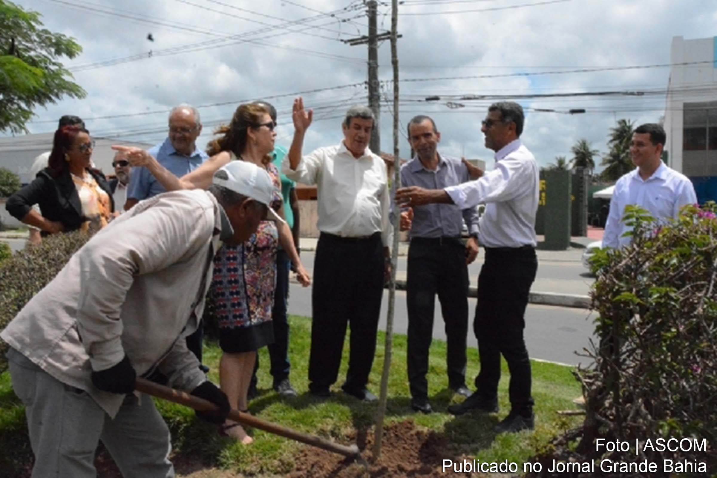 Mais de 2.640 árvores foram plantadas pelo Departamento de Áreas Verdes da SESP em Feira de Santana