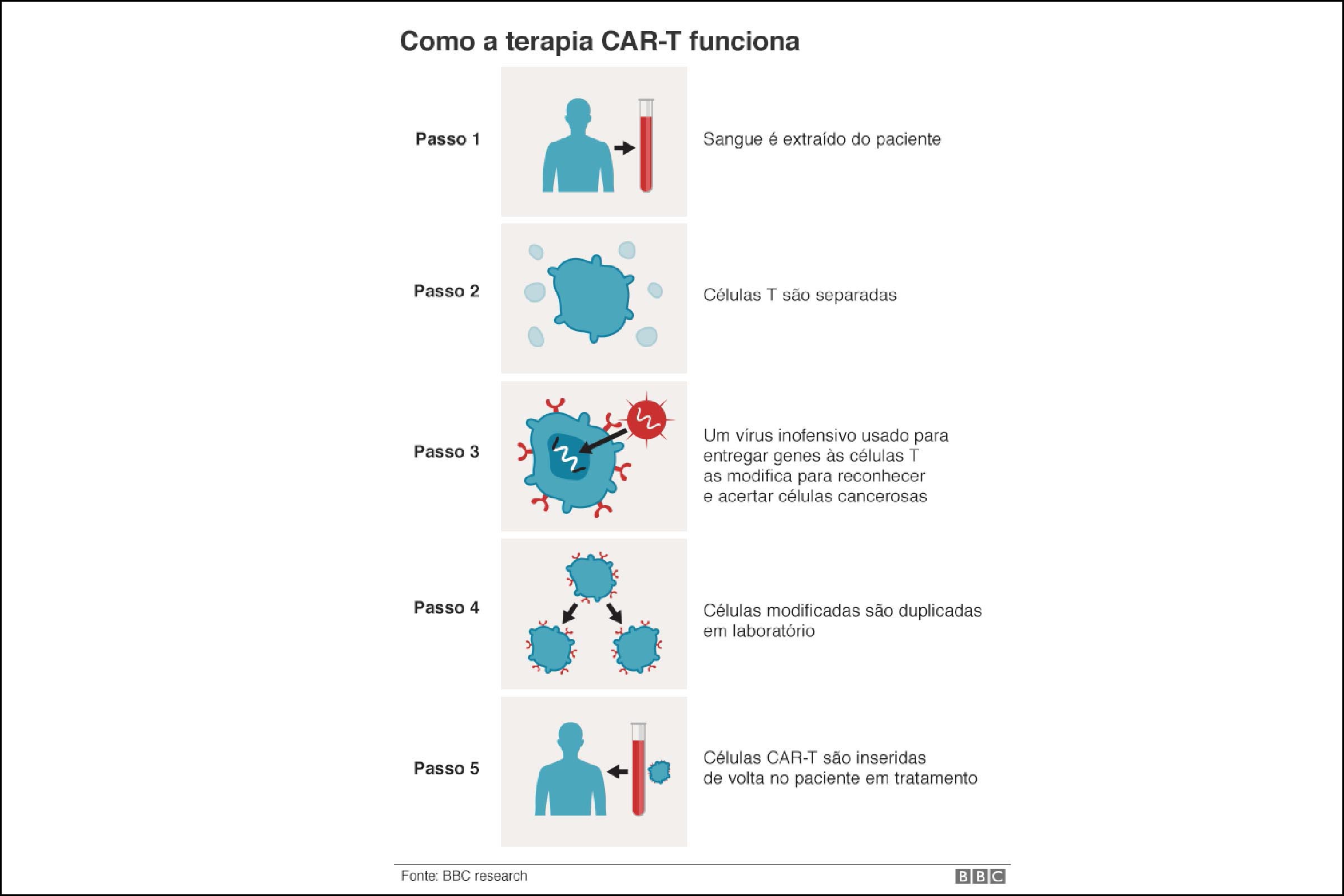 Essa abordagem é, no entanto, extremamente específica e funciona com apenas um número limitado de cânceres onde há um alvo claro para treinar a "mira" das células T.