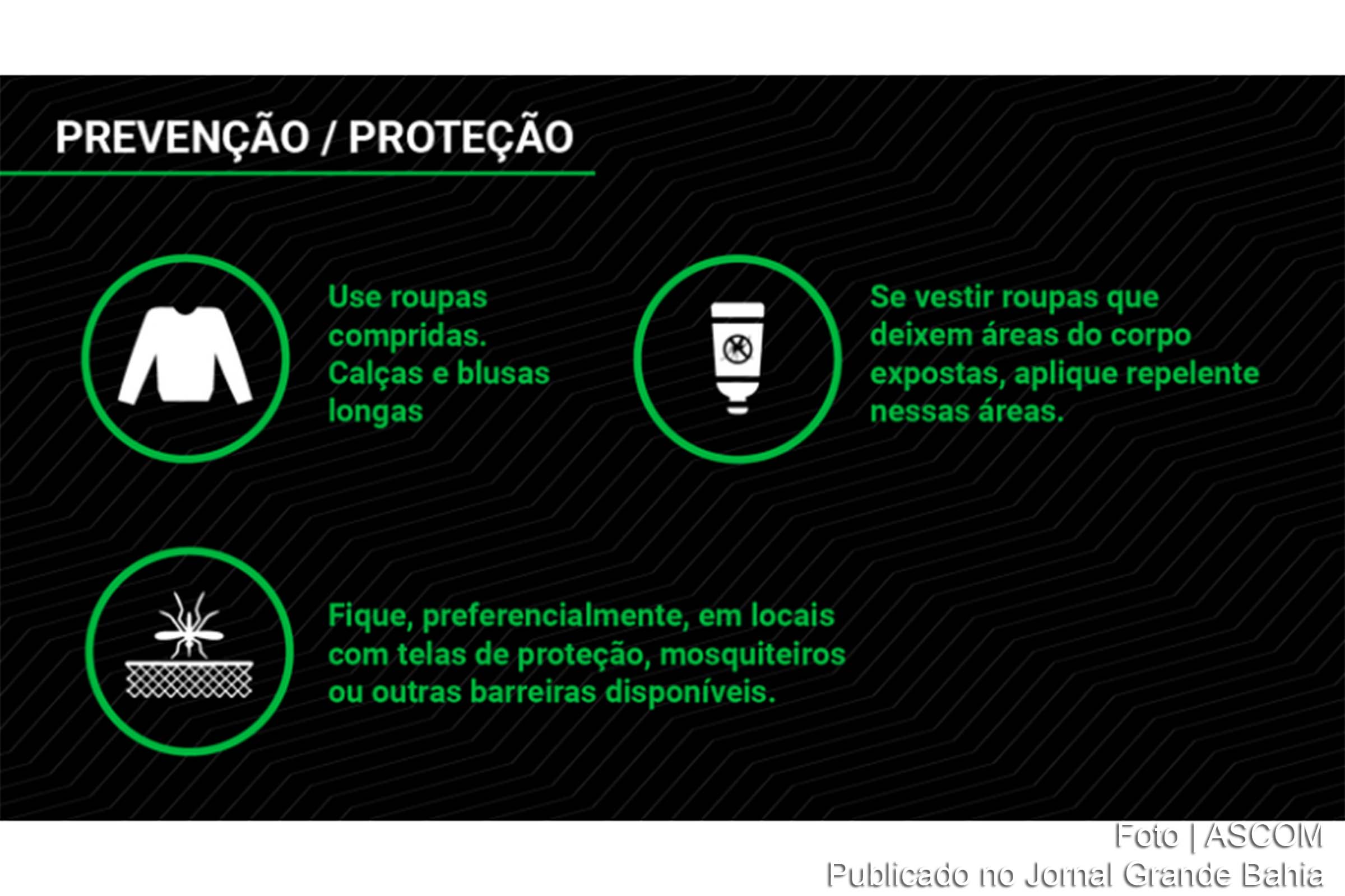 Com o risco de surto das doenças causadas pelo mosquito, alguns estados e municípios brasileiros já deram início às estratégias de combate.