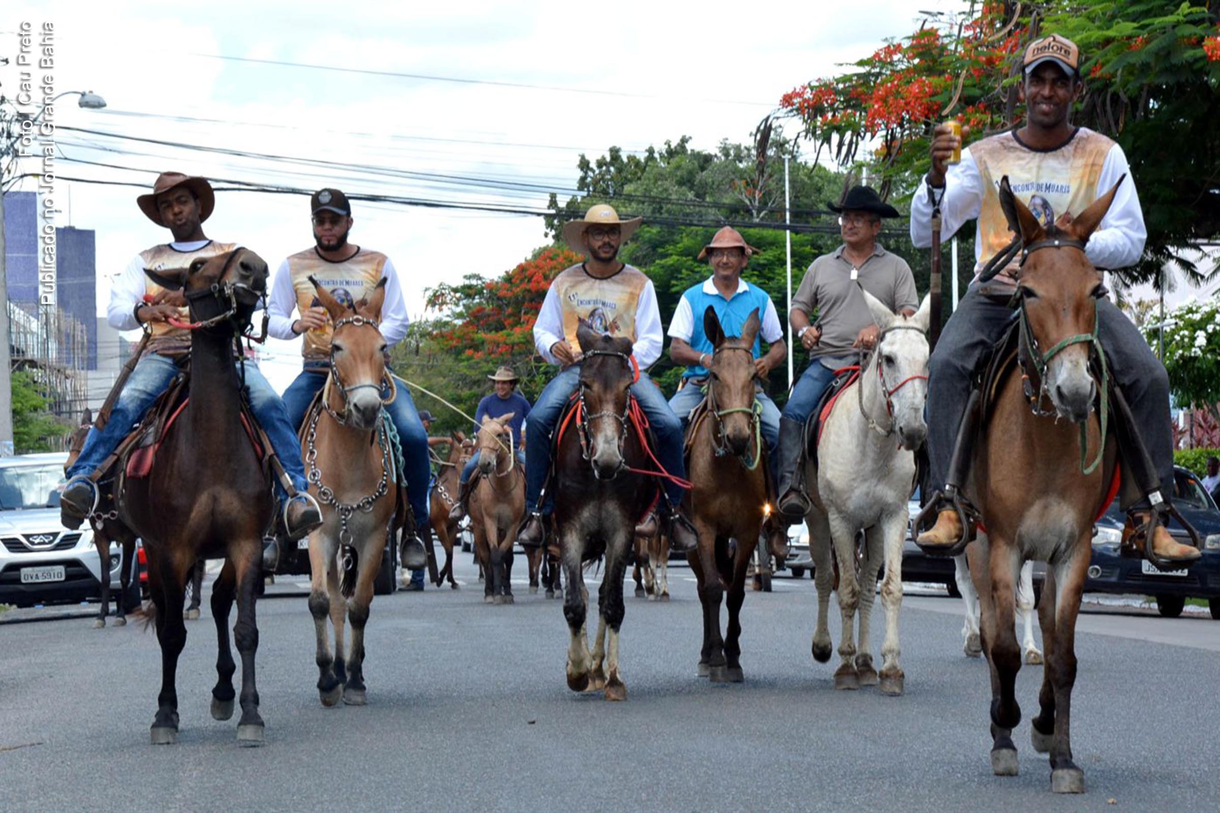 Edição 2020 do ‘Encontro de Muladeiros’ resgata origens de Feira de Santana