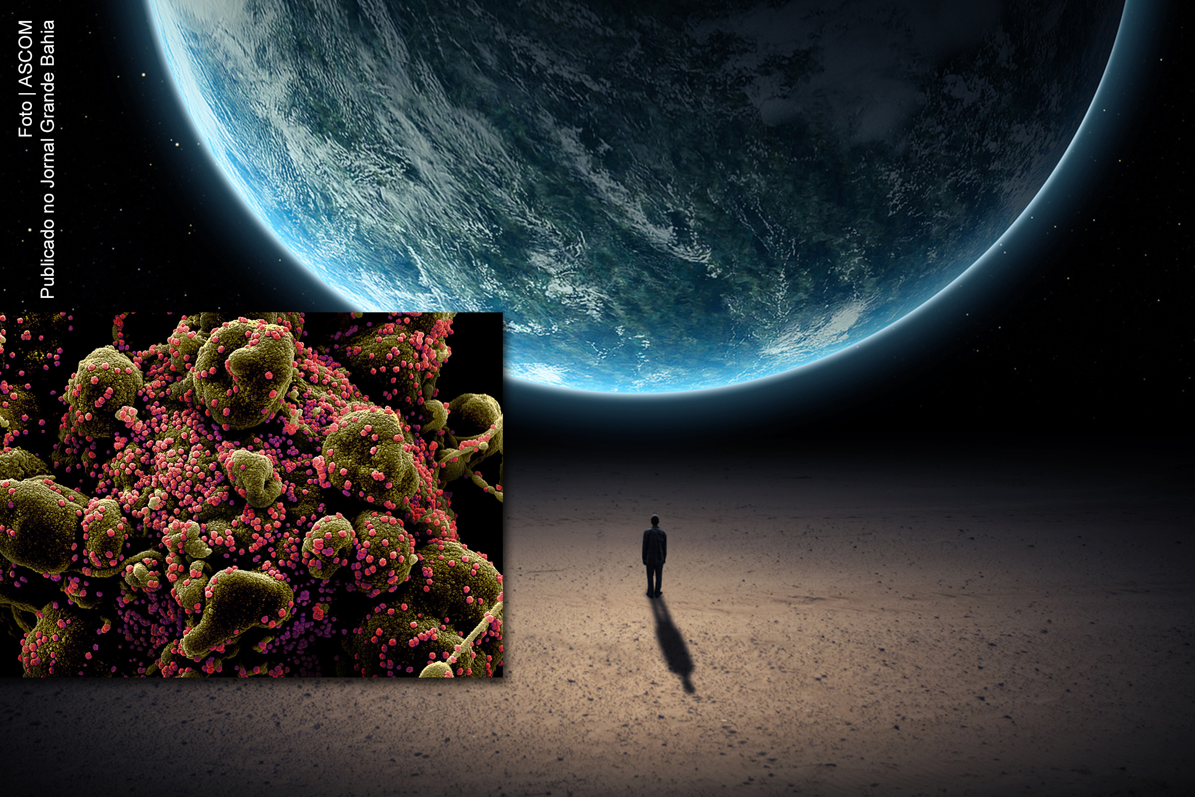 A biosfera conecta tudo a todos, em uma relação de interdependência.