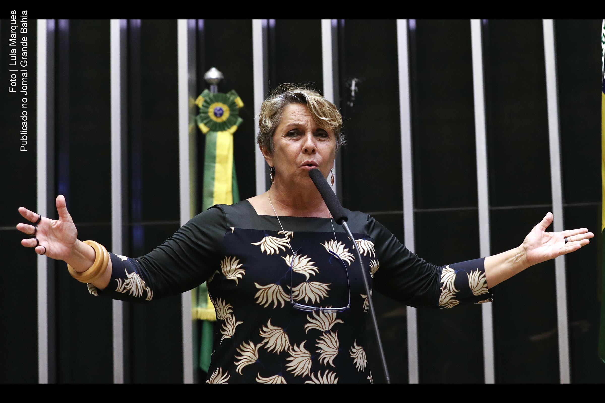 Erika Jucá Kokay (PT-DF), deputada federal.