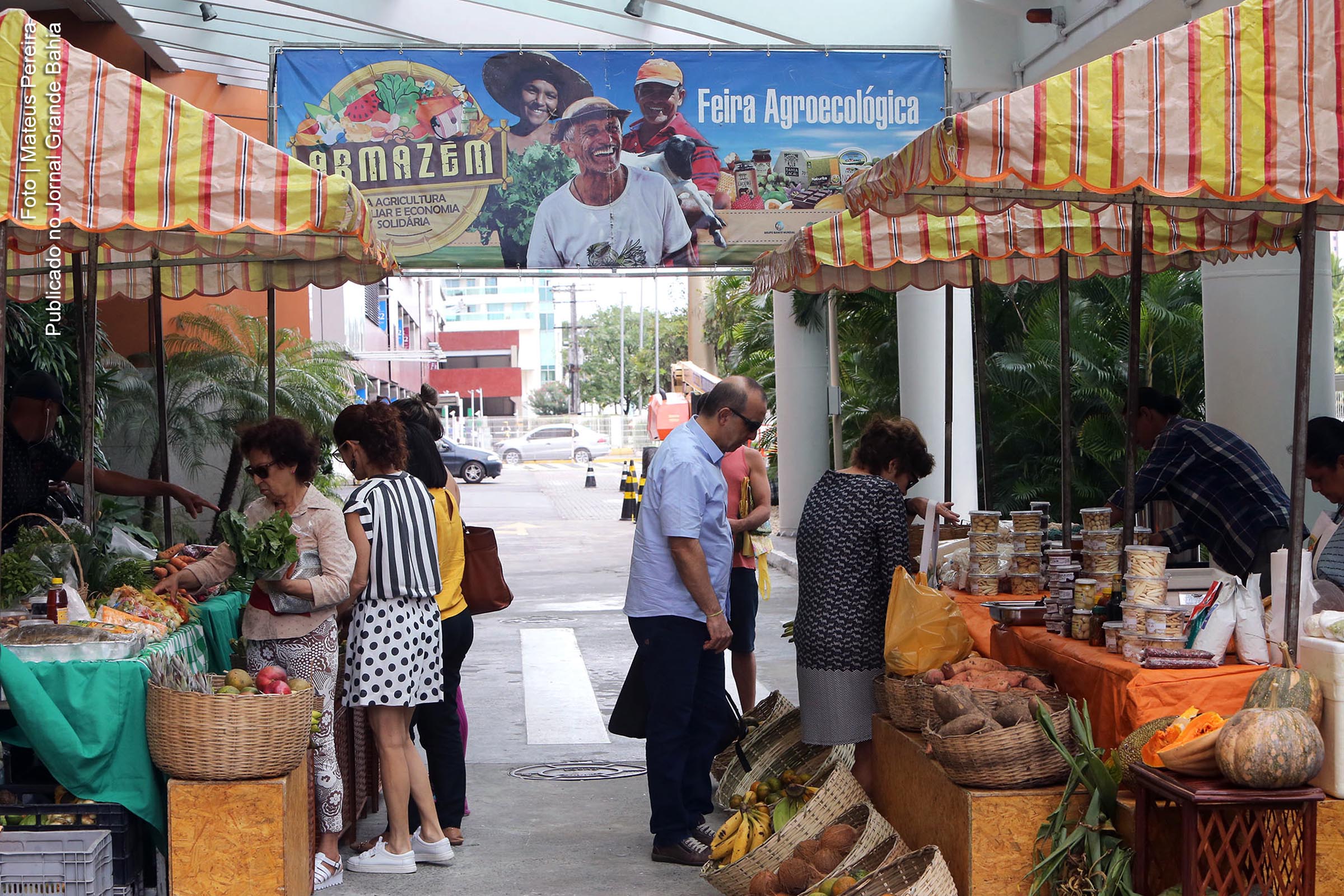 Incentivo do Governo da Bahia à agricultura familiar impulsiona economia local e melhora indicadores de renda.