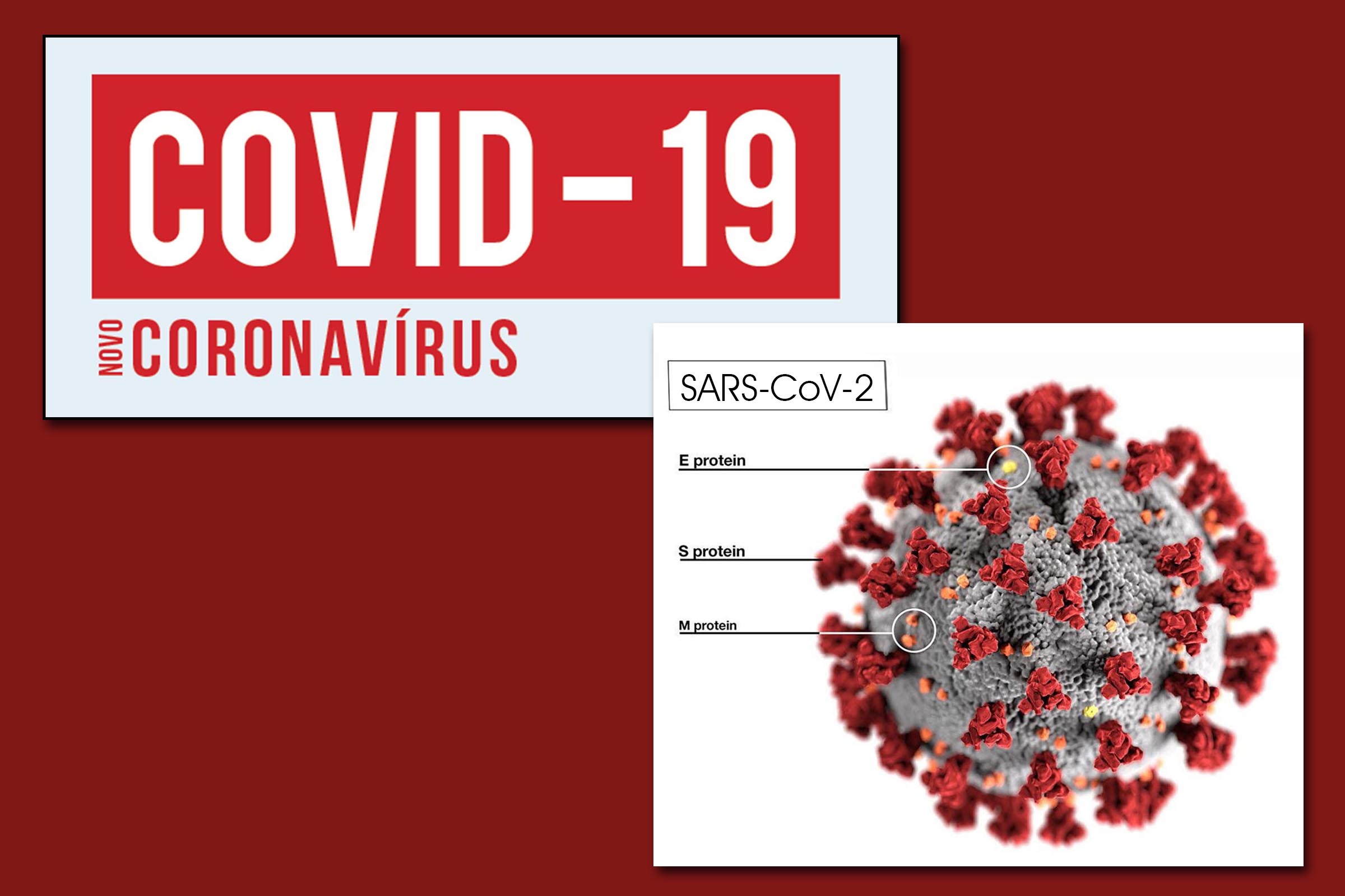 Pandemia de Coronavírus Covid-19 (SARS-CoV-2) promove debate na sociedade.