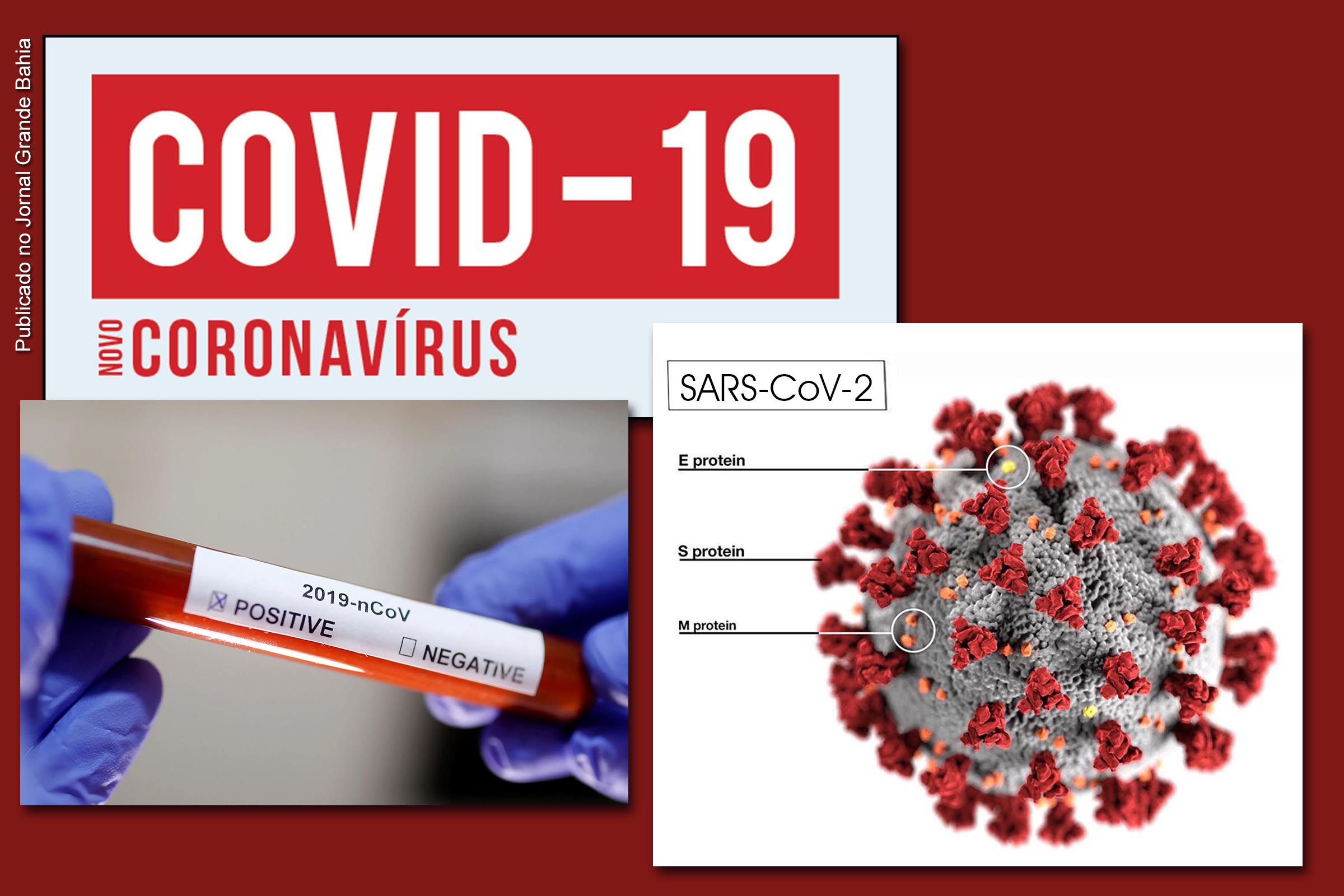 Pesquisas no Google são realizadas sobre a pandemia de Coronavírus Covid-19 (SARS-CoV-2);