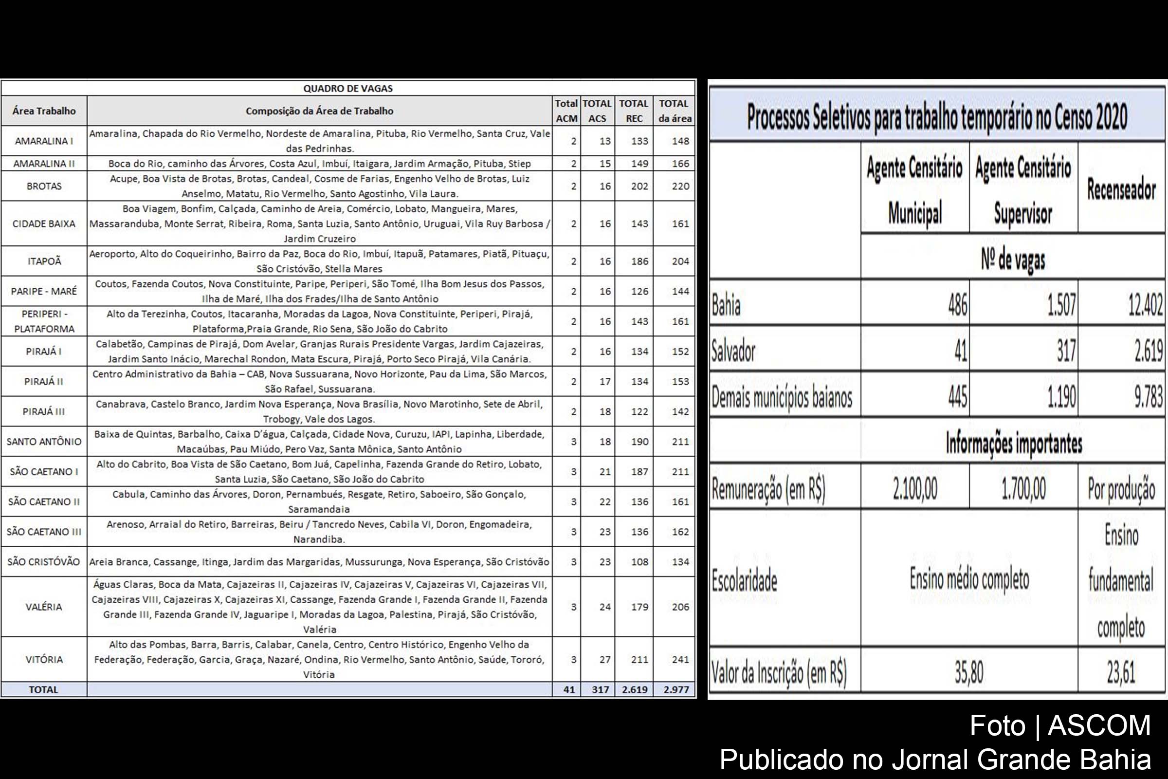 Tabela informa processo seletivo temporário no censo 2020