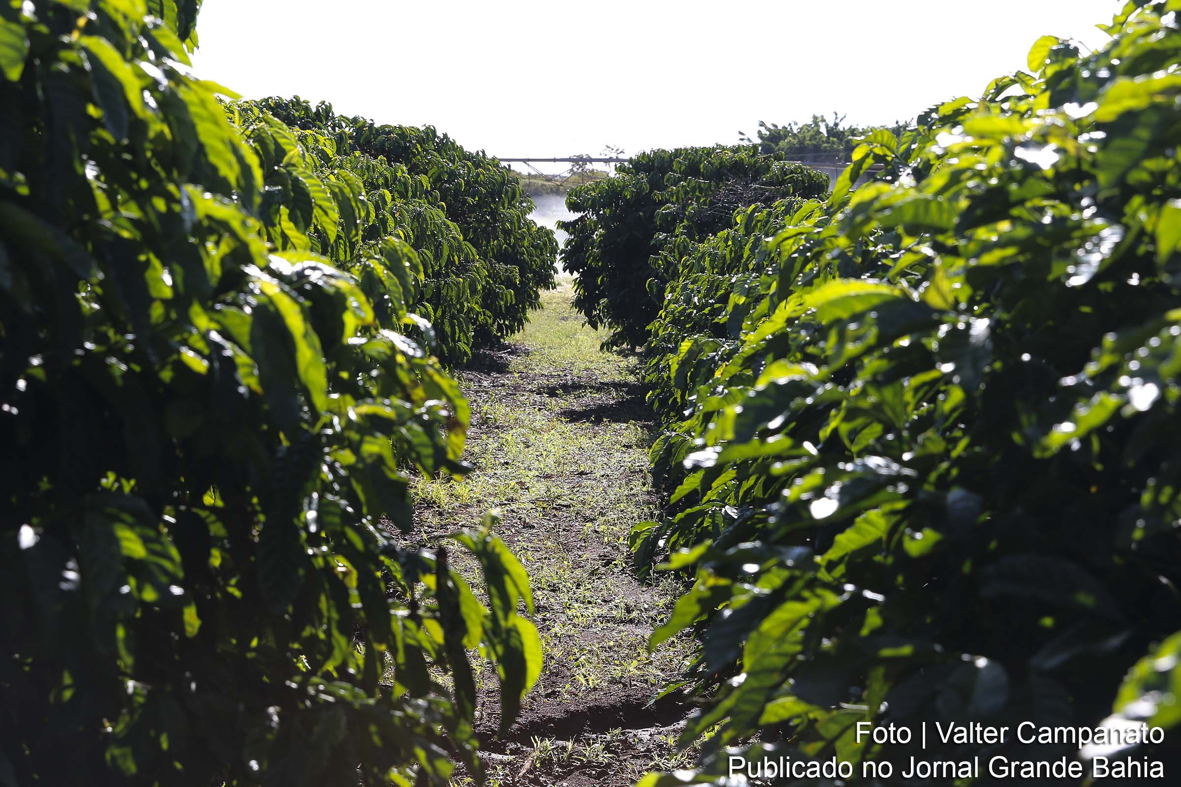 Senado aprova MP do Agro e texto vai à sanção presidencial.