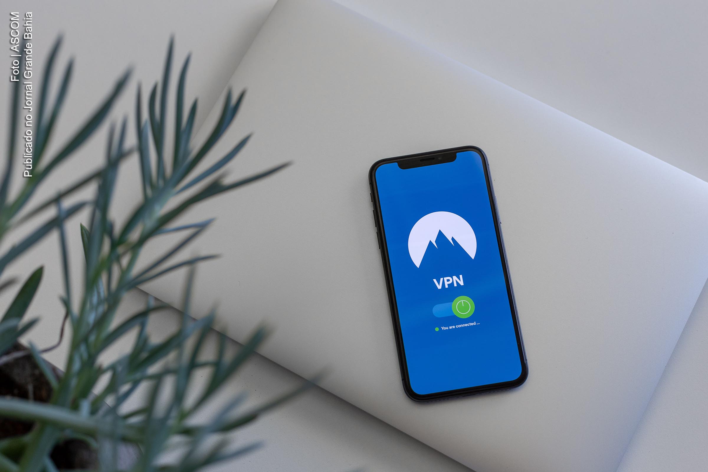 Qual melhor VPN para celular? Descubra aqui