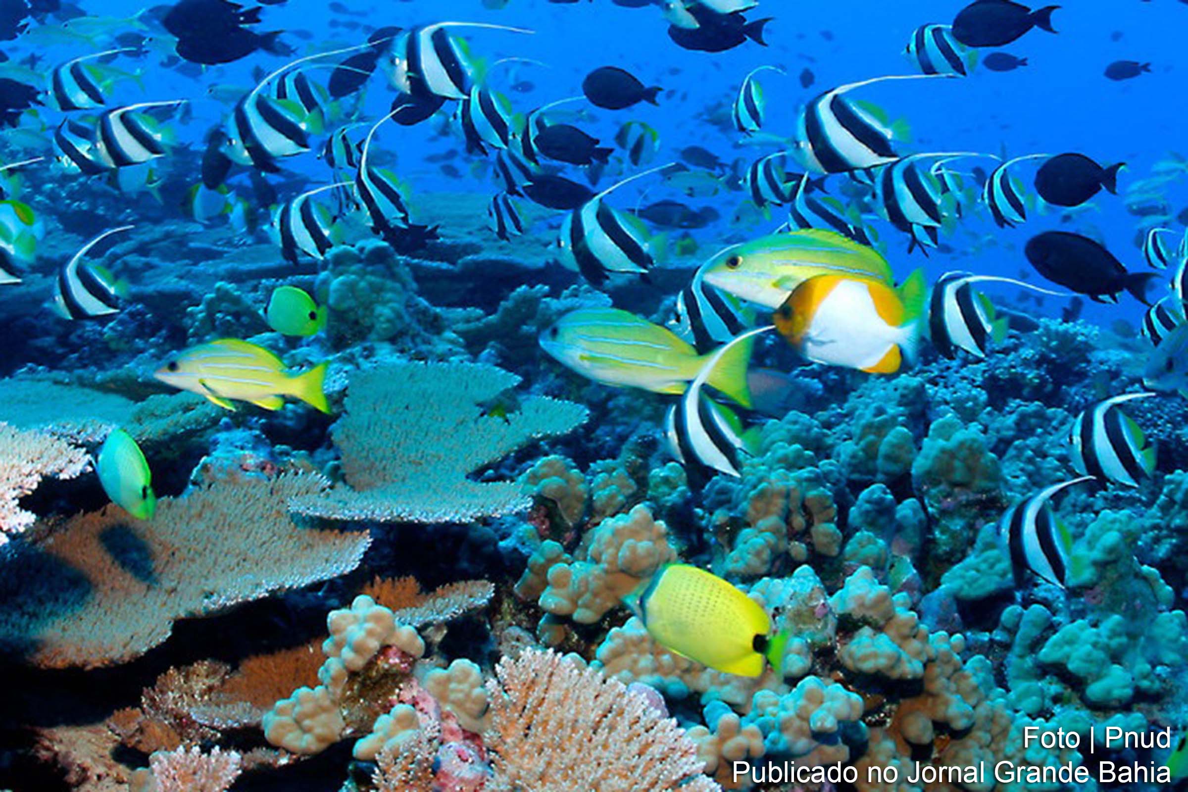Apesar do problema ter sido trazido à tona há mais de uma década, os métodos de monitoramento de microplásticos ainda estão em fase de desenvolvimento.