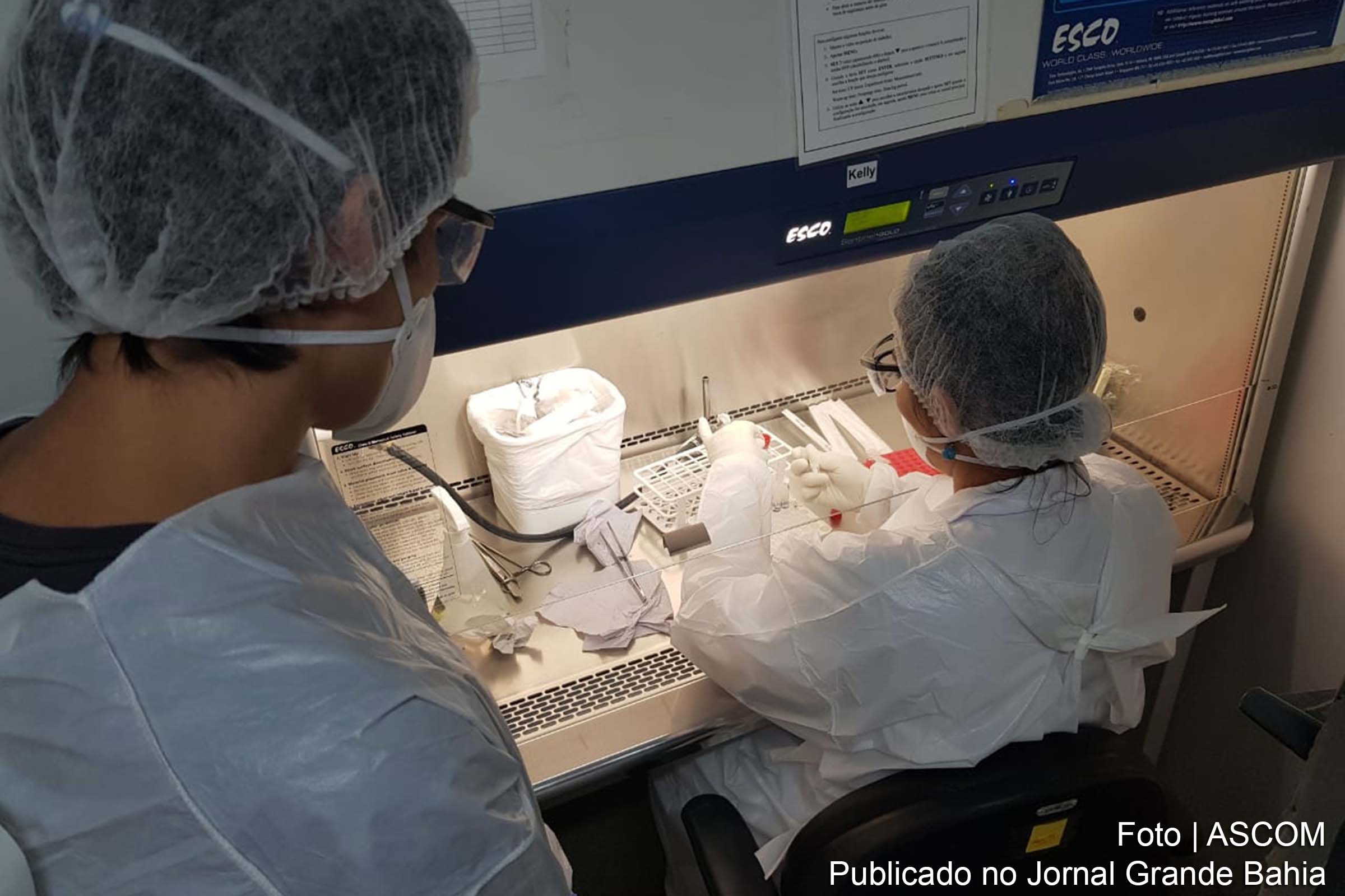 UESC começa a atuar no diagnóstico da Covid-19