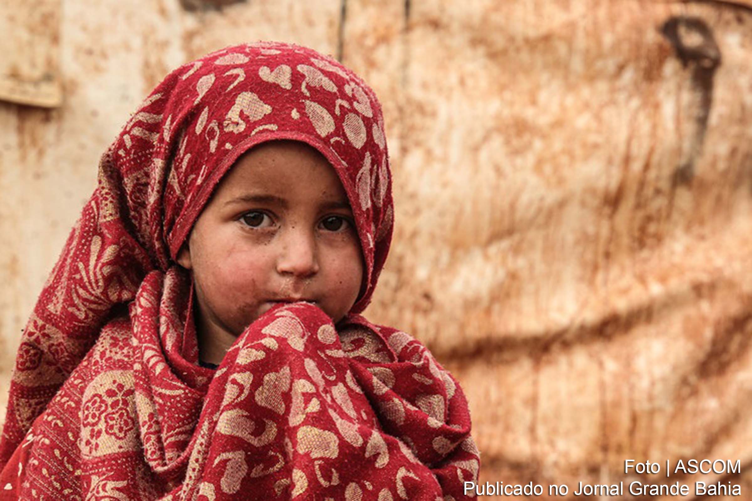 Conselho de Segurança debate grave situação humanitária na Síria