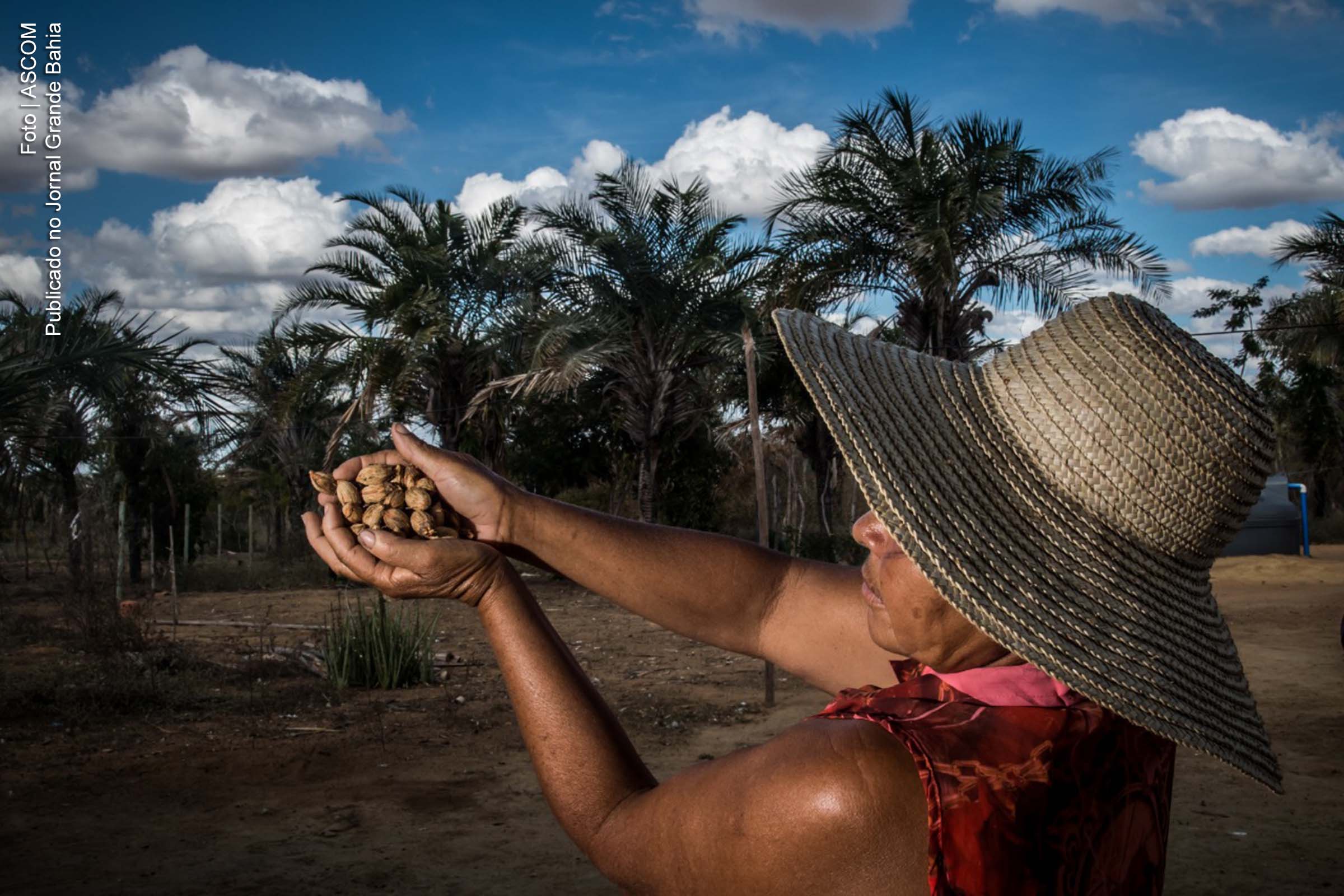 Agricultura familiar é tema de programa da TVE Bahia.