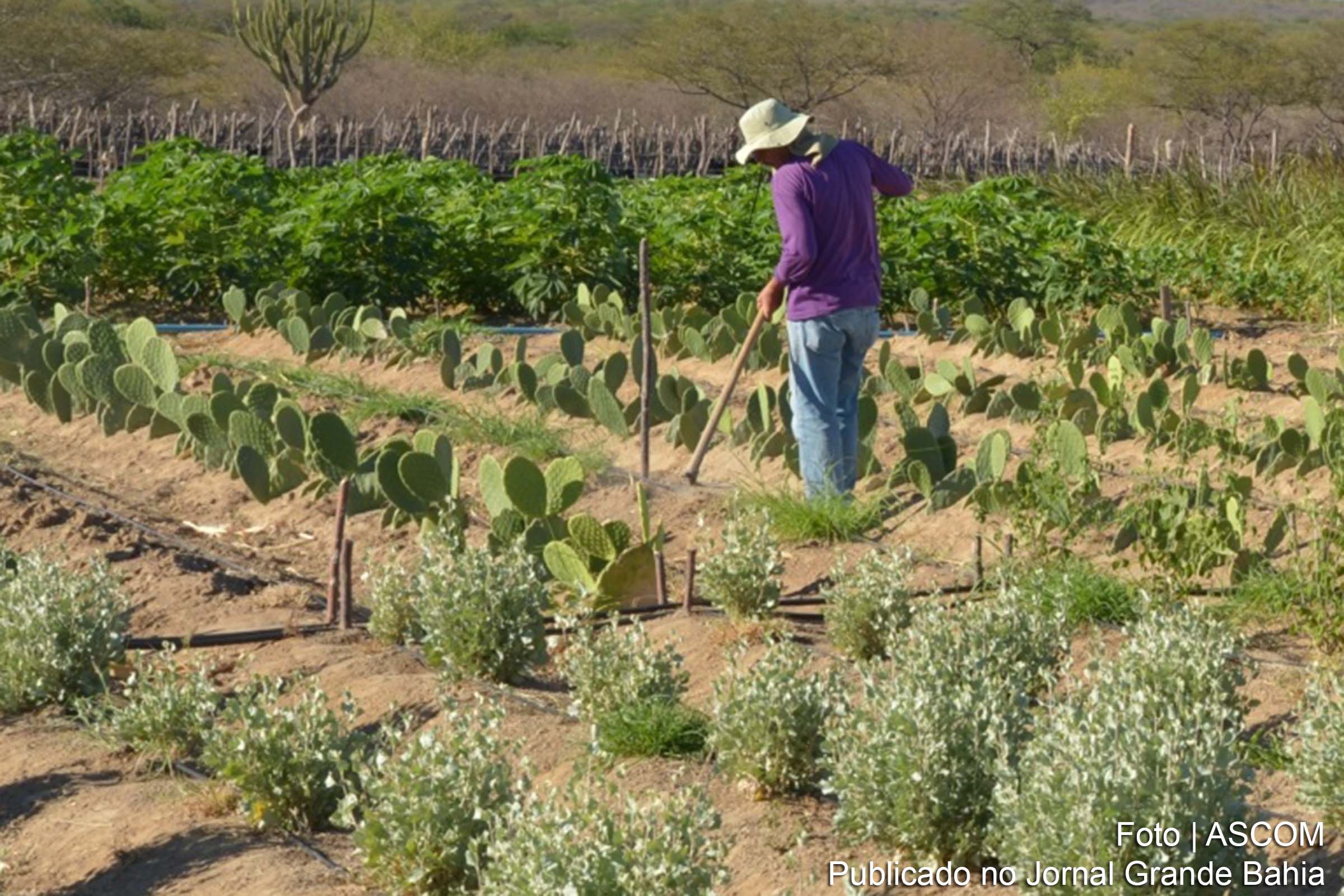 Necessidade de subsistência financeira provoca abandono escolar no Brasil.