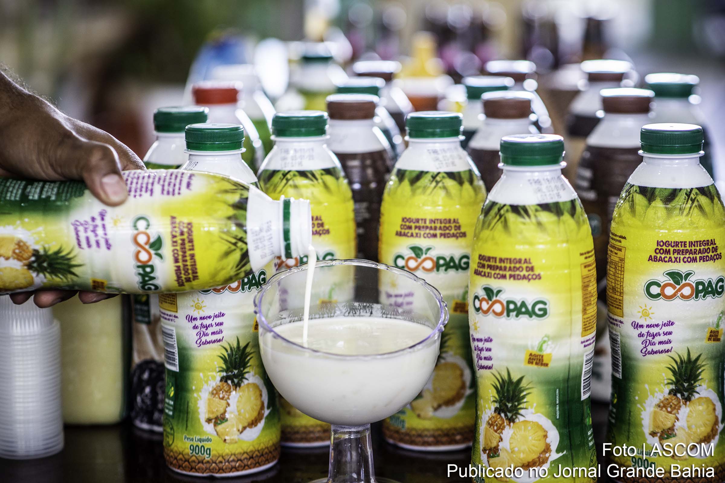 Produtos lácteos da agricultura familiar da Bahia.