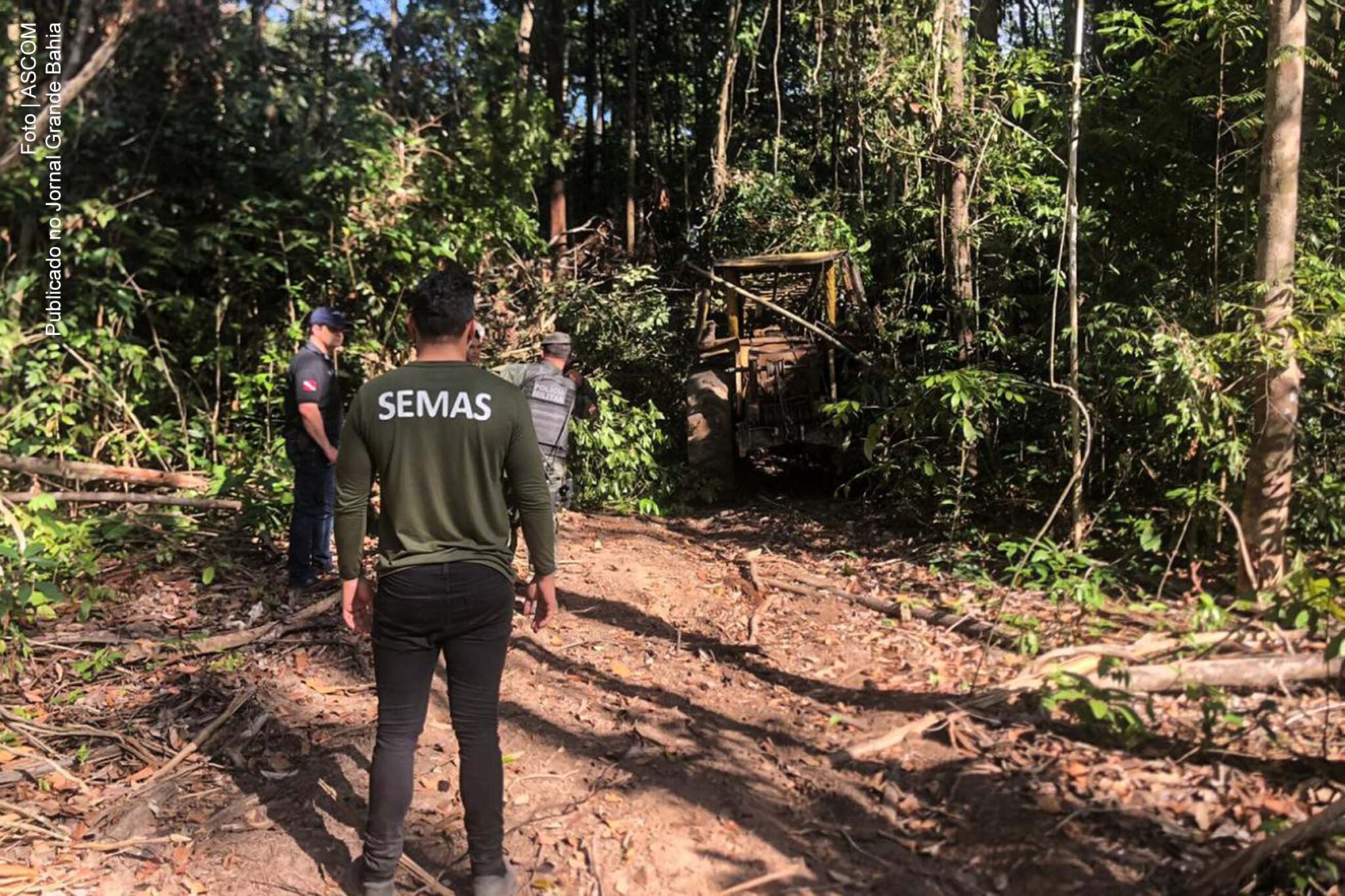 Degradação do bioma da Floresta Amazônica é um crime contra a natureza que precisa ser detido.