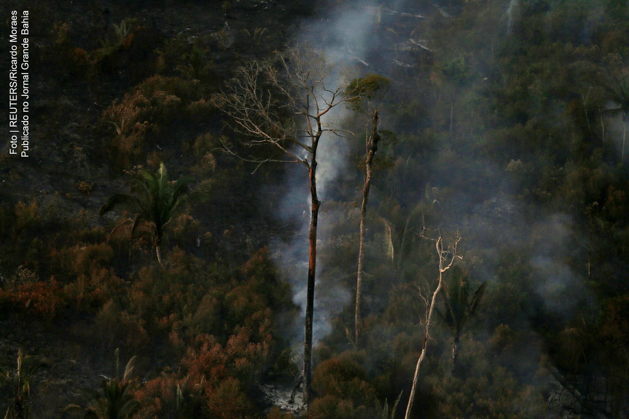 Governo Bolsonaro tem atitude de apoio a degradação ambiental do bioma da Amazônia. Mas críticas da imprensa faz desgoverno conter impulso destruidor.