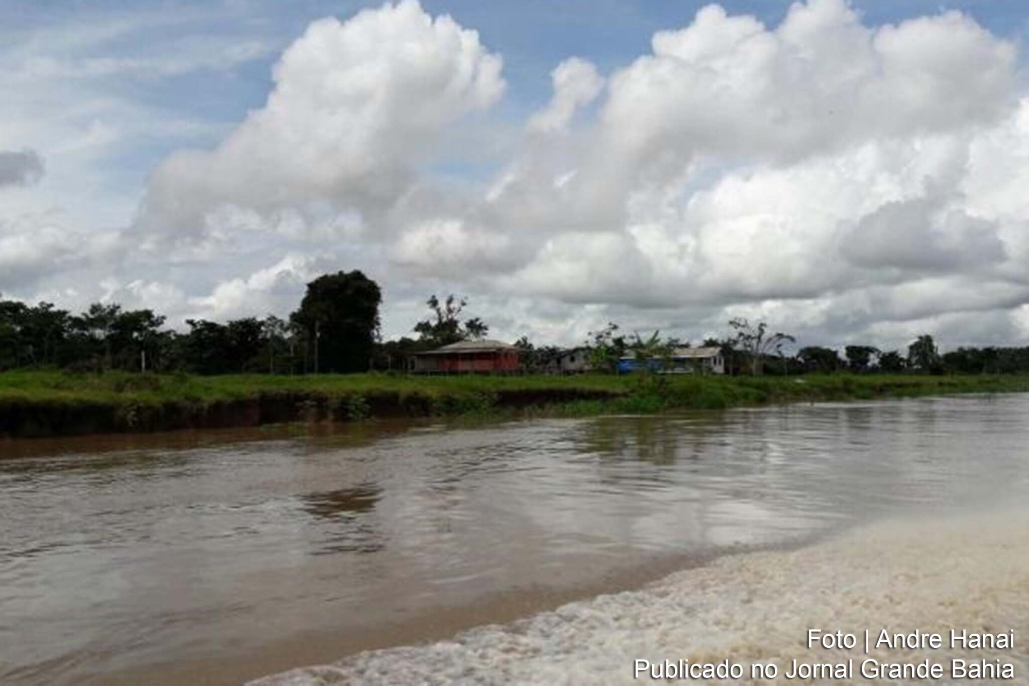 Agropecuária ocupa considerável extensão de terra no bioma Amazônia.