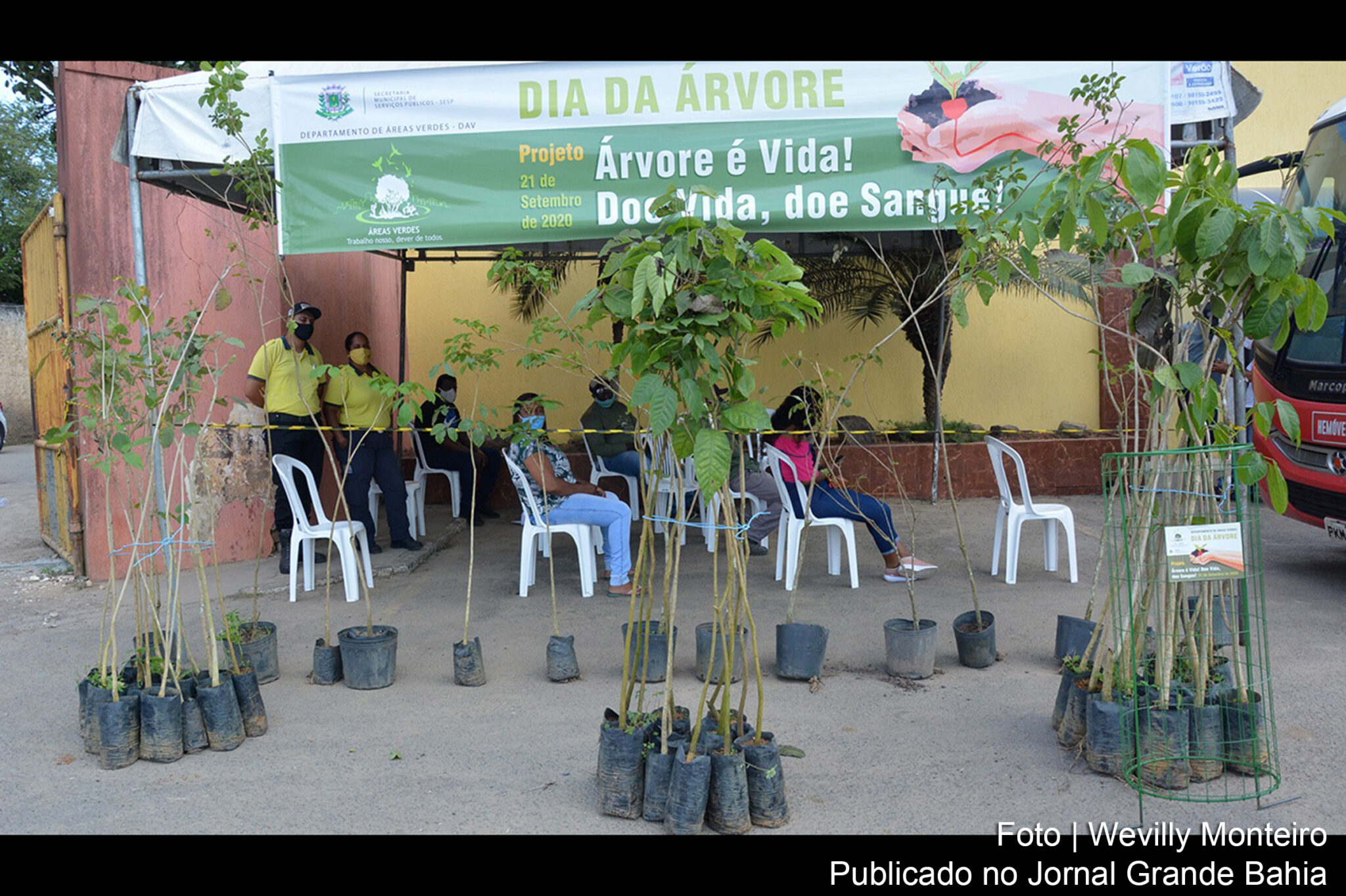 Comemorações pelo Dia da Árvore em Feira de Santana.