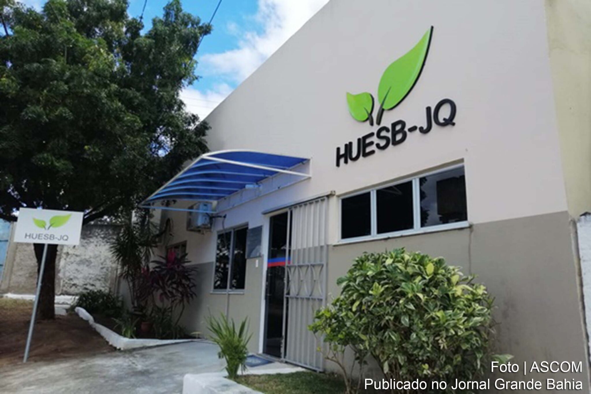 Herbário da UESB completa 18 anos de existência