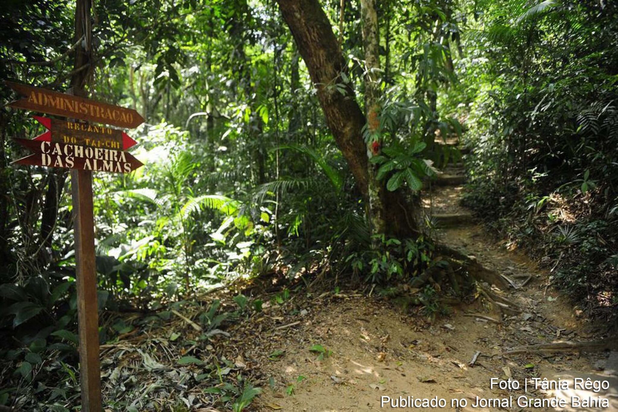 Cadastro Ambiental Urbano é criado pelo Governo Federal.